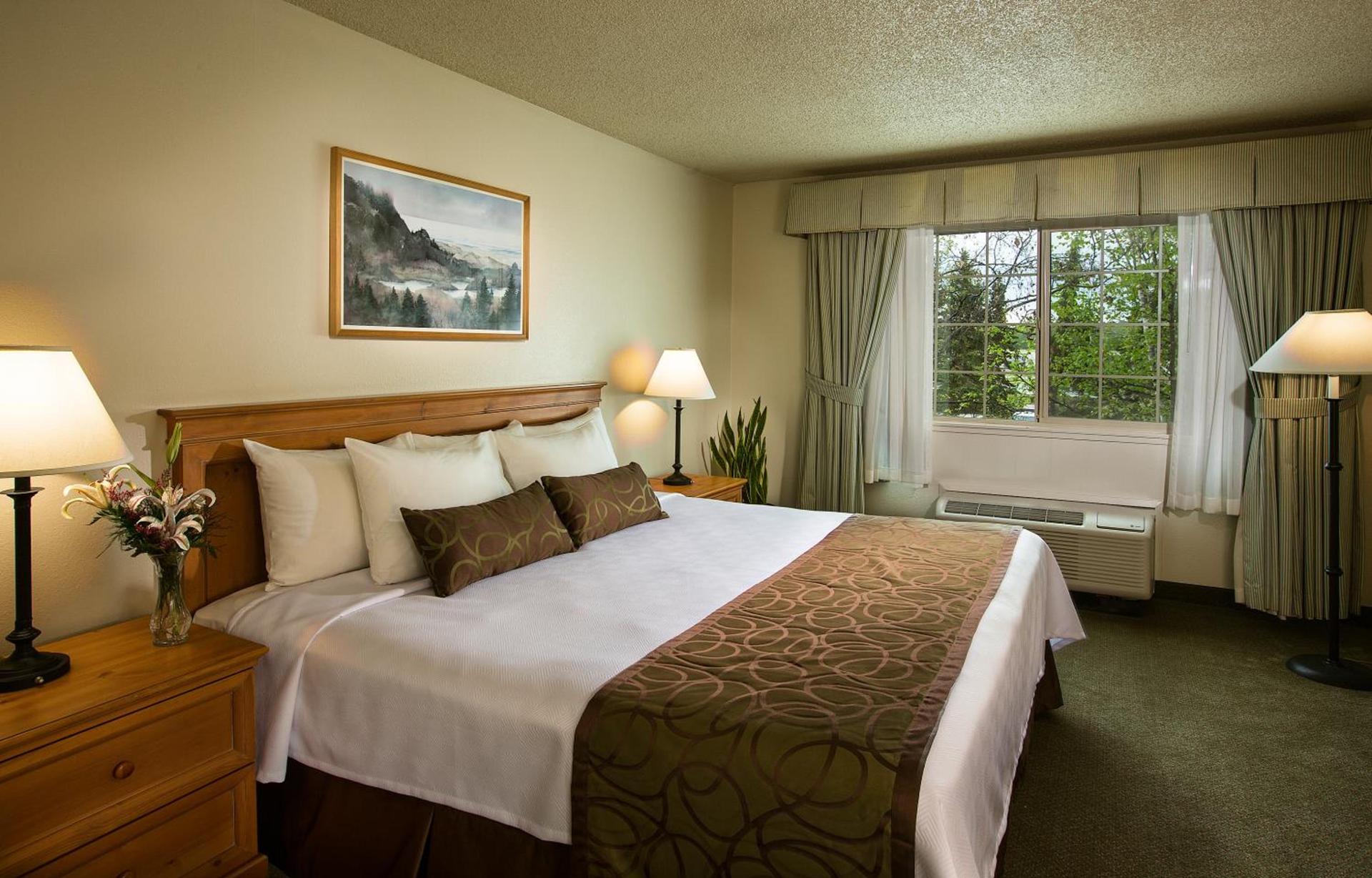 Coast Inn at Lake Hood photo 56