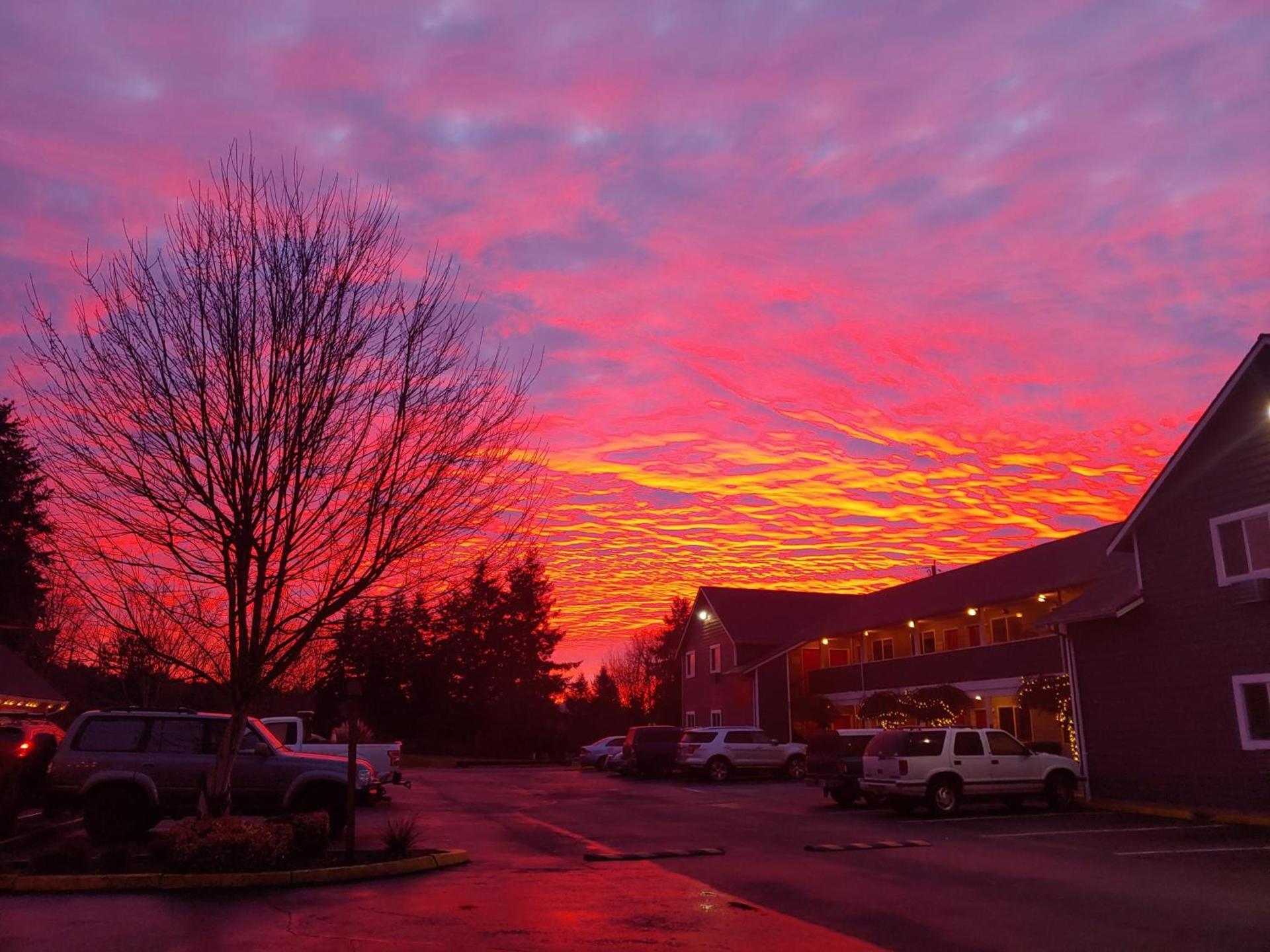 Snohomish Inn photo 1