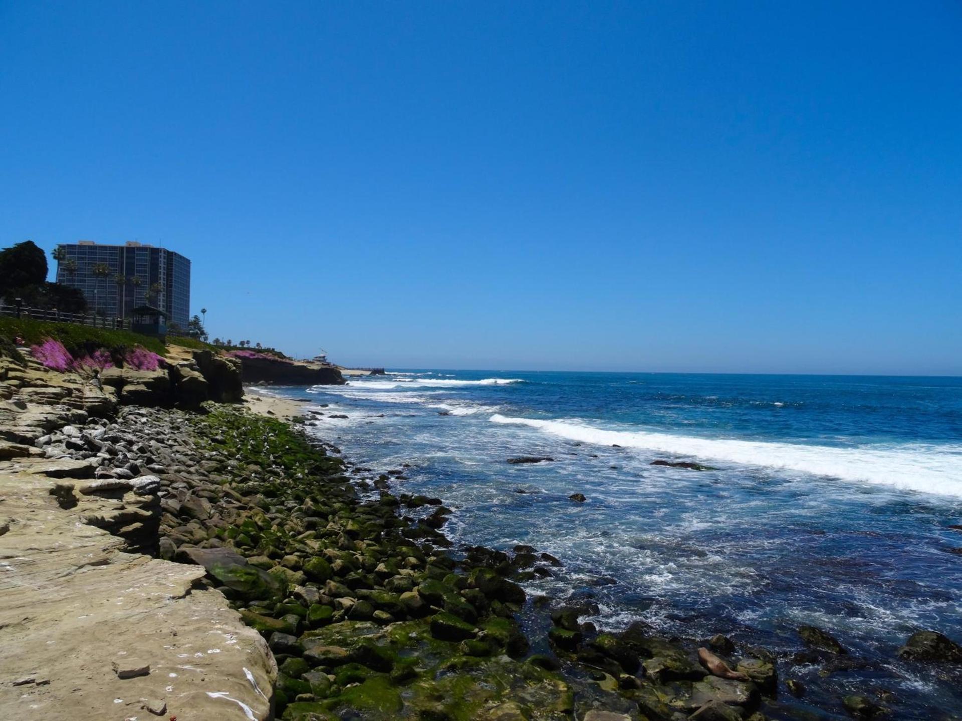 Crowne Plaza San Diego - Mission Valley by IHG photo 14