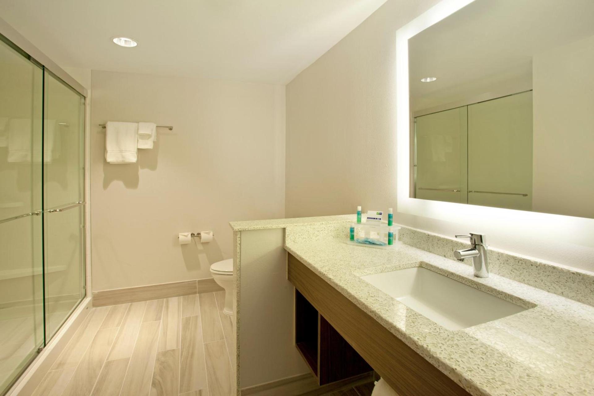 Holiday Inn Express Hotel & Suites Austin Downtown - University by IHG photo 33