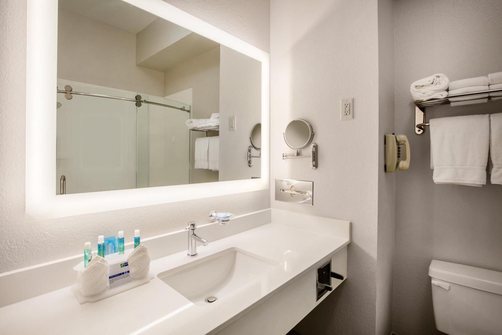 Holiday Inn Express Hotel & Suites Dallas - Grand Prairie I-20 by IHG photo 29