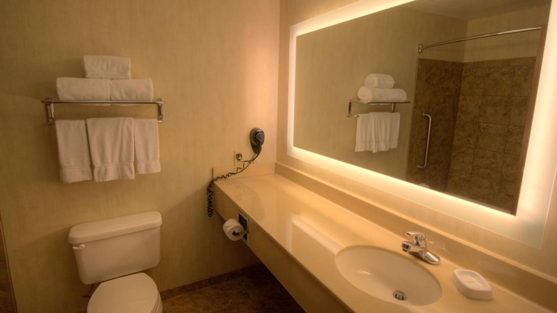 Holiday Inn Express & Suites Sioux Center by IHG photo 30