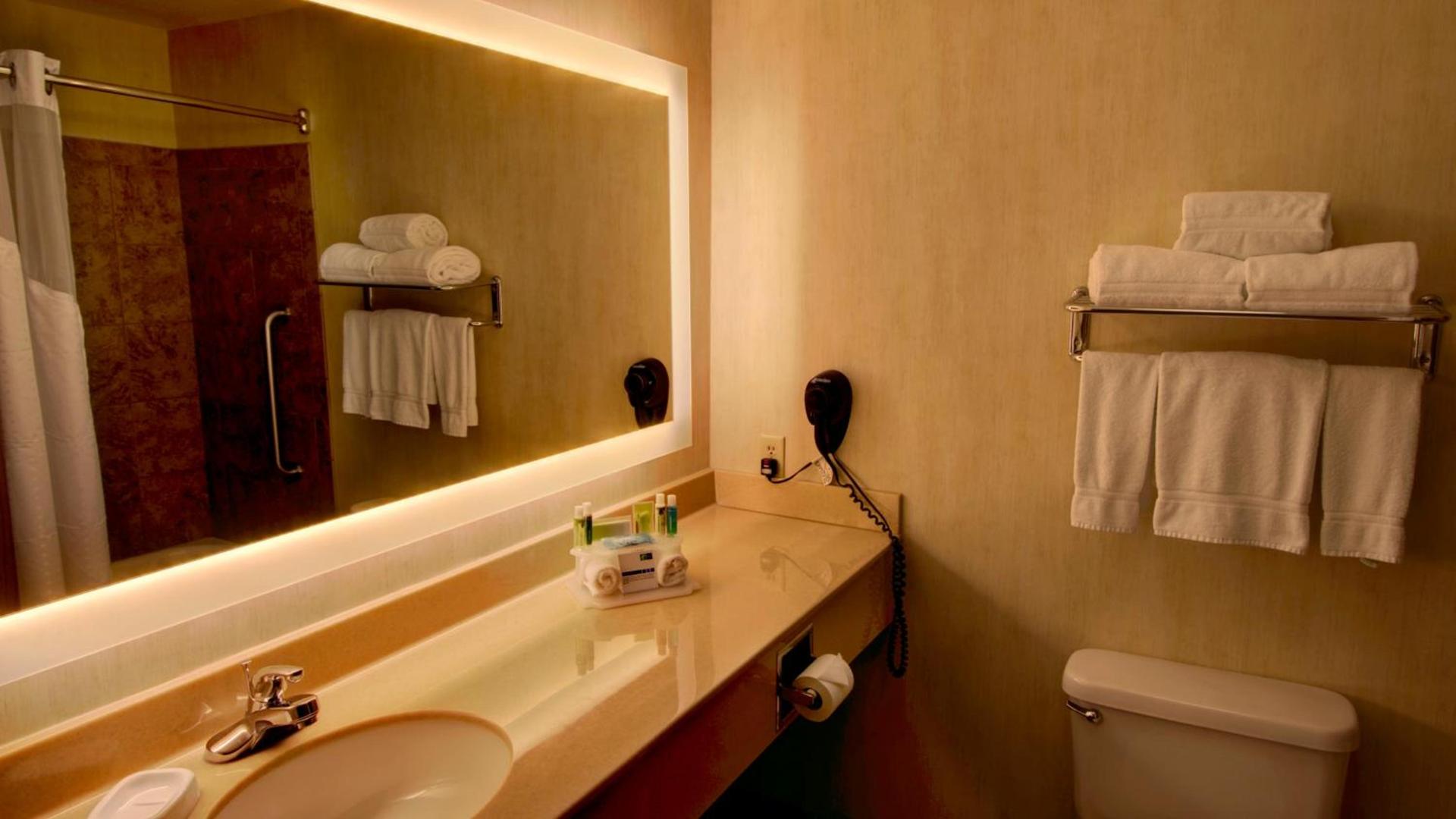 Holiday Inn Express & Suites Sioux Center by IHG photo 34