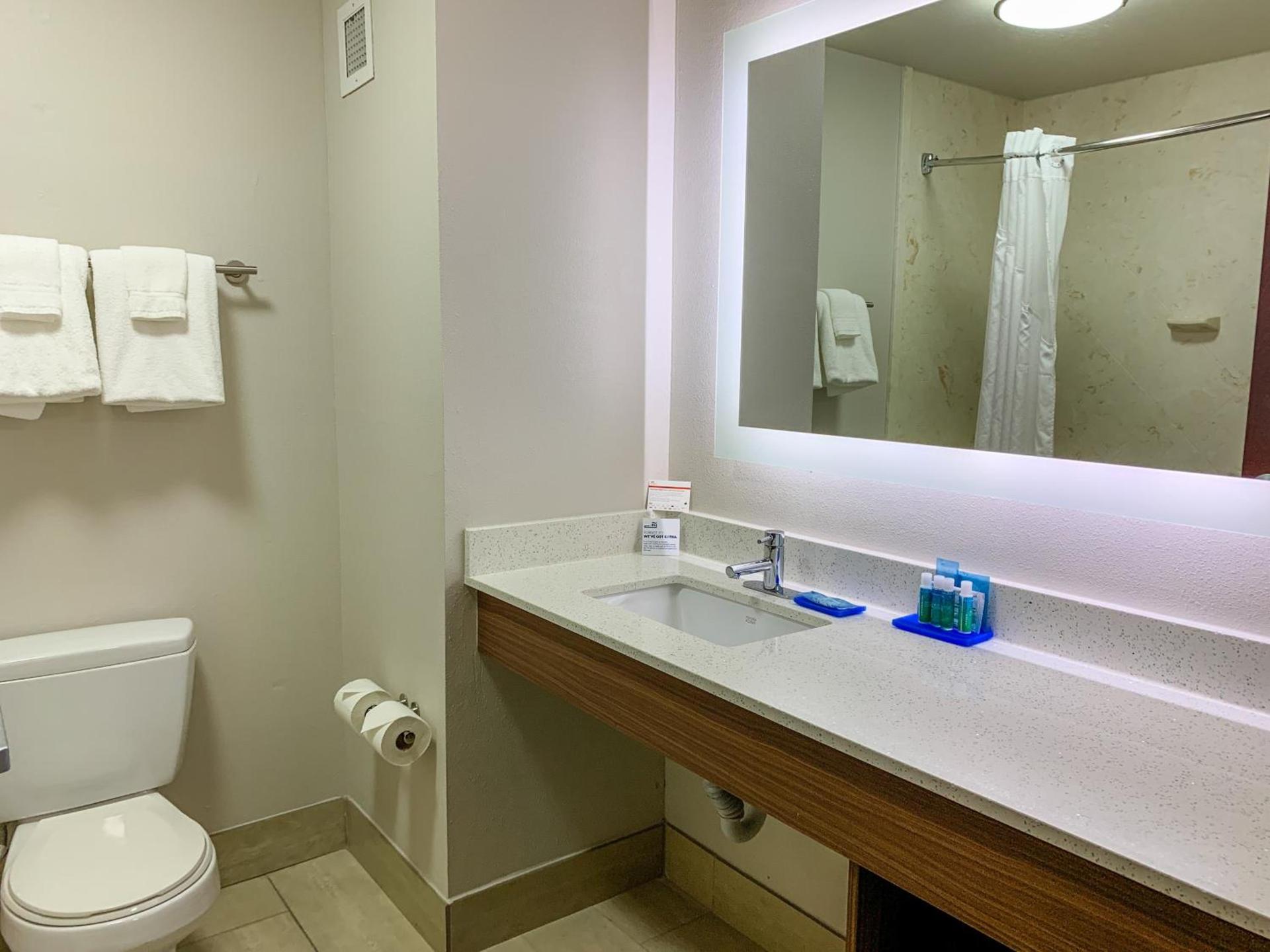 Holiday Inn Express & Suites Lexington Downtown Area-Keeneland by IHG photo 29