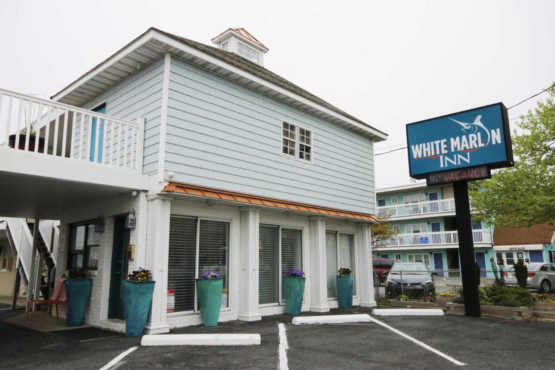 White Marlin Inn photo 2
