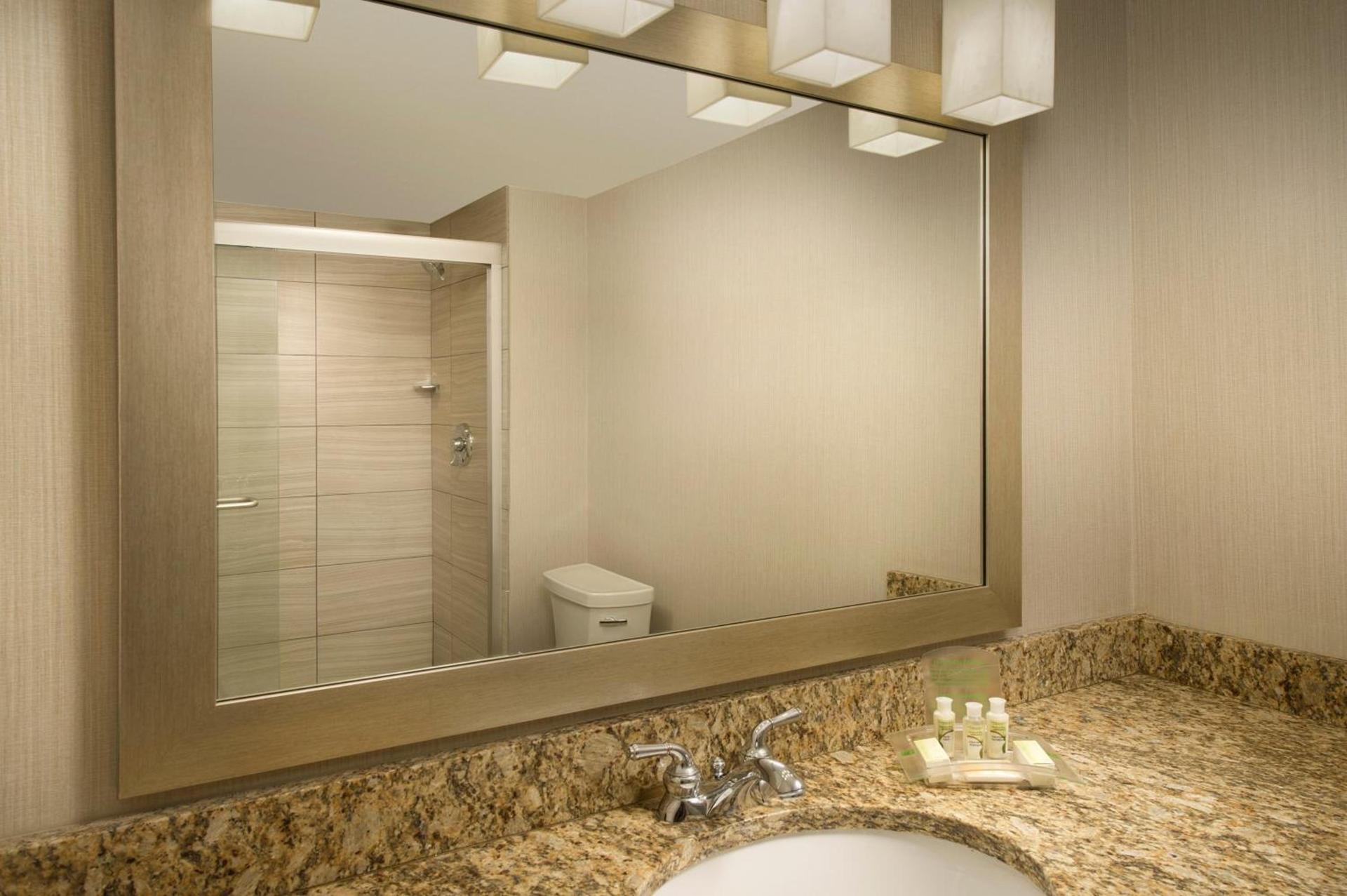 Holiday Inn El Paso Airport by IHG photo 33