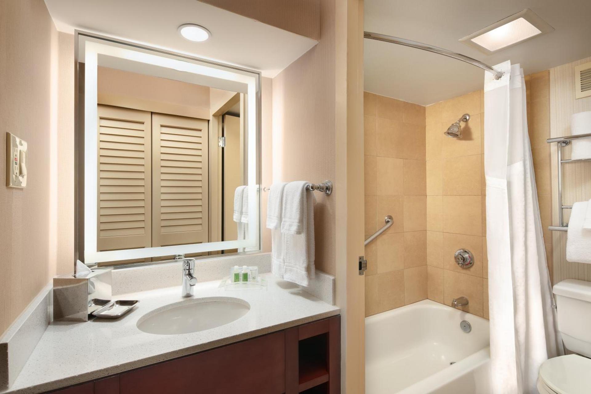 Holiday Inn Austin -Town Lake by IHG photo 12