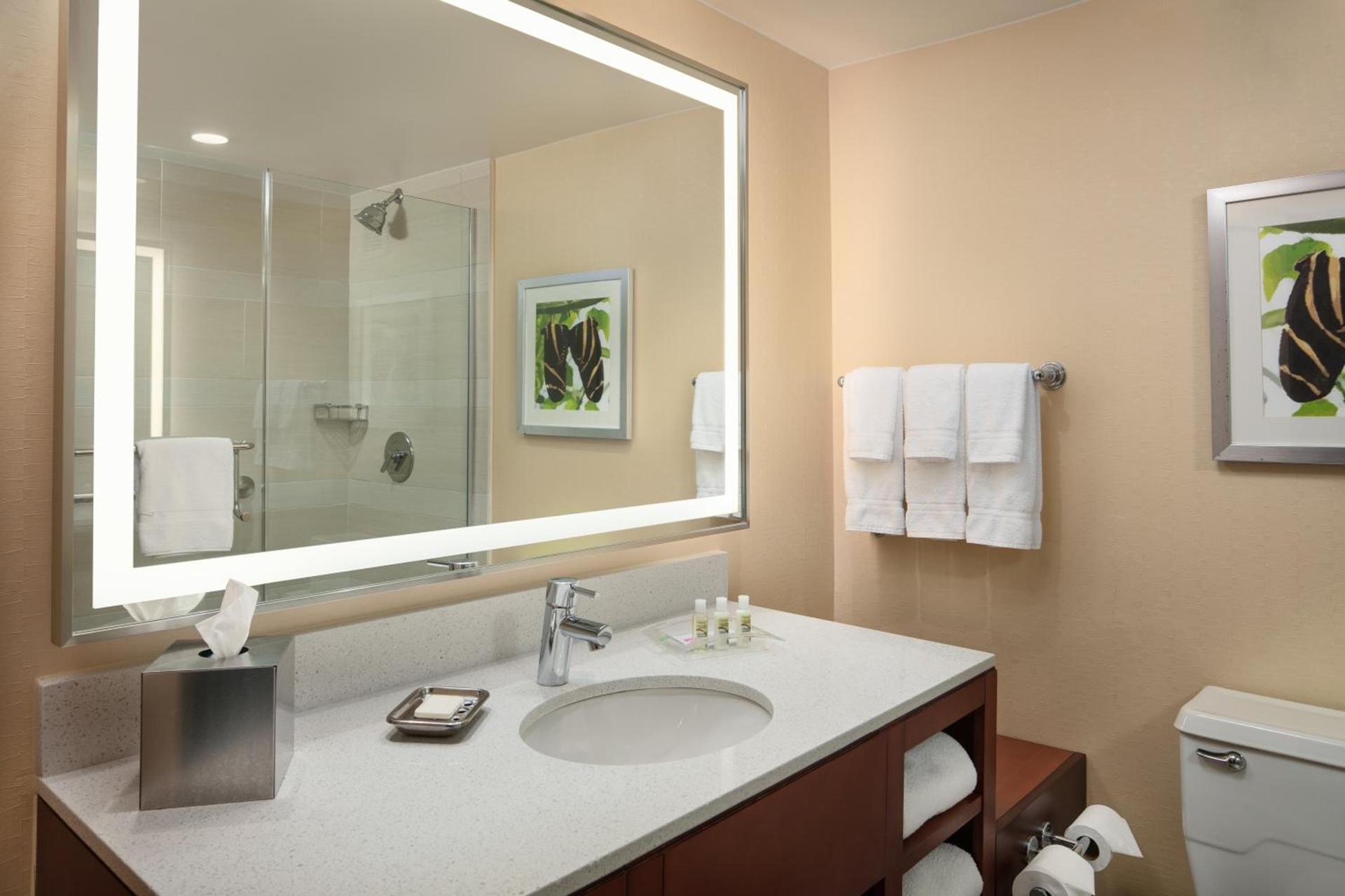 Holiday Inn Austin -Town Lake by IHG photo 13