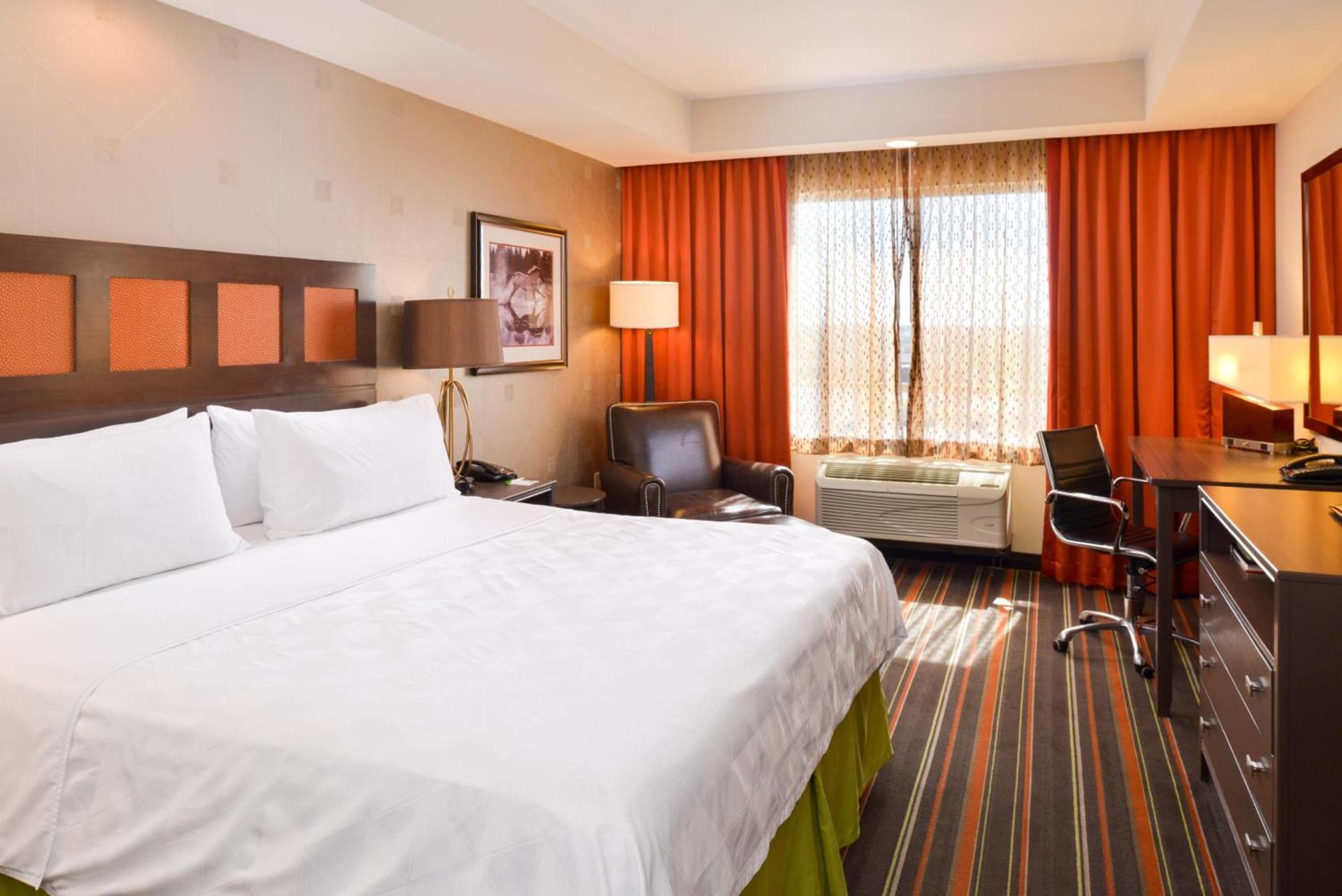 Holiday Inn Amarillo West Medical Center by IHG photo 21