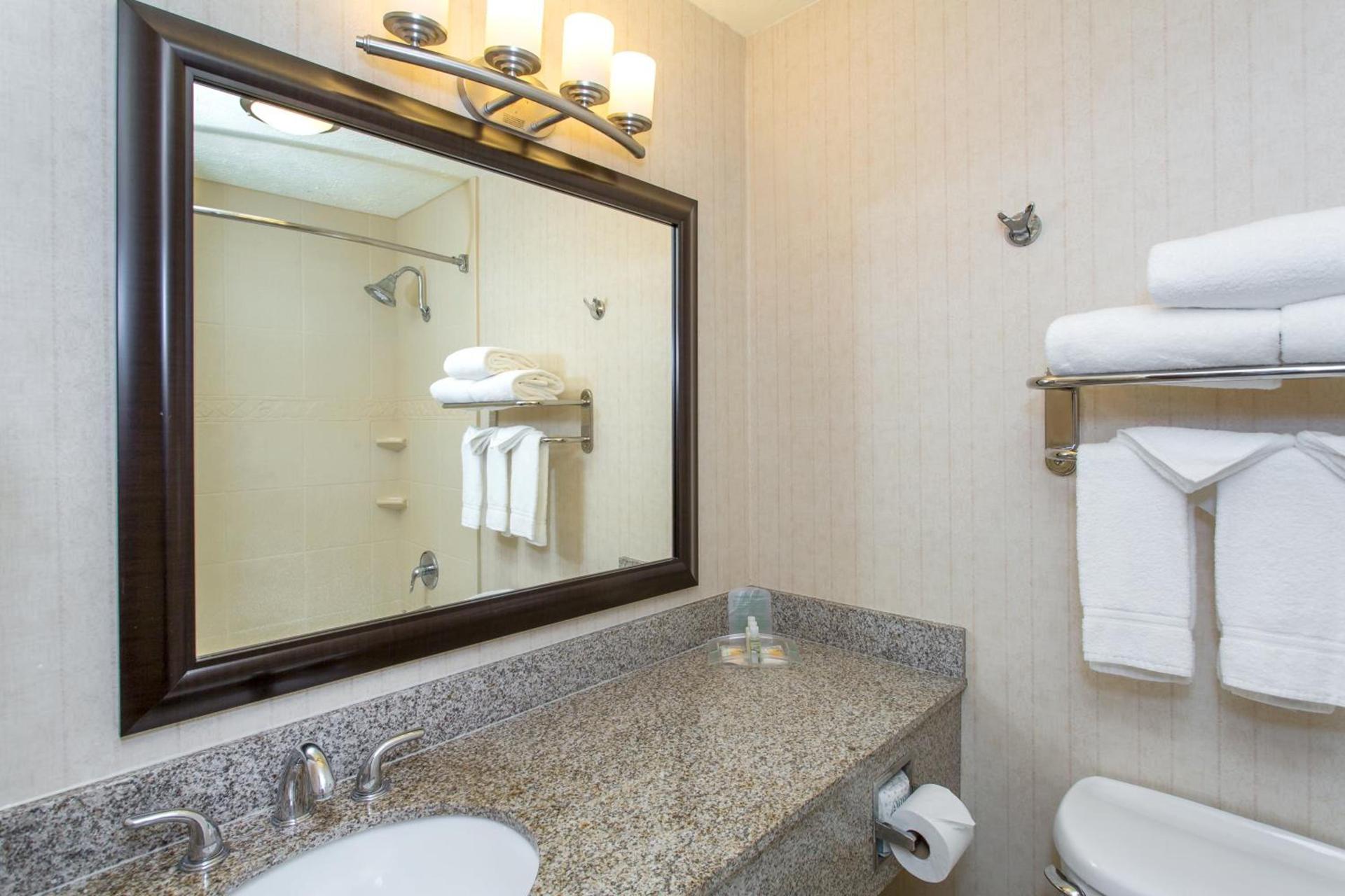 Holiday Inn Bloomington-University Area by IHG photo 6
