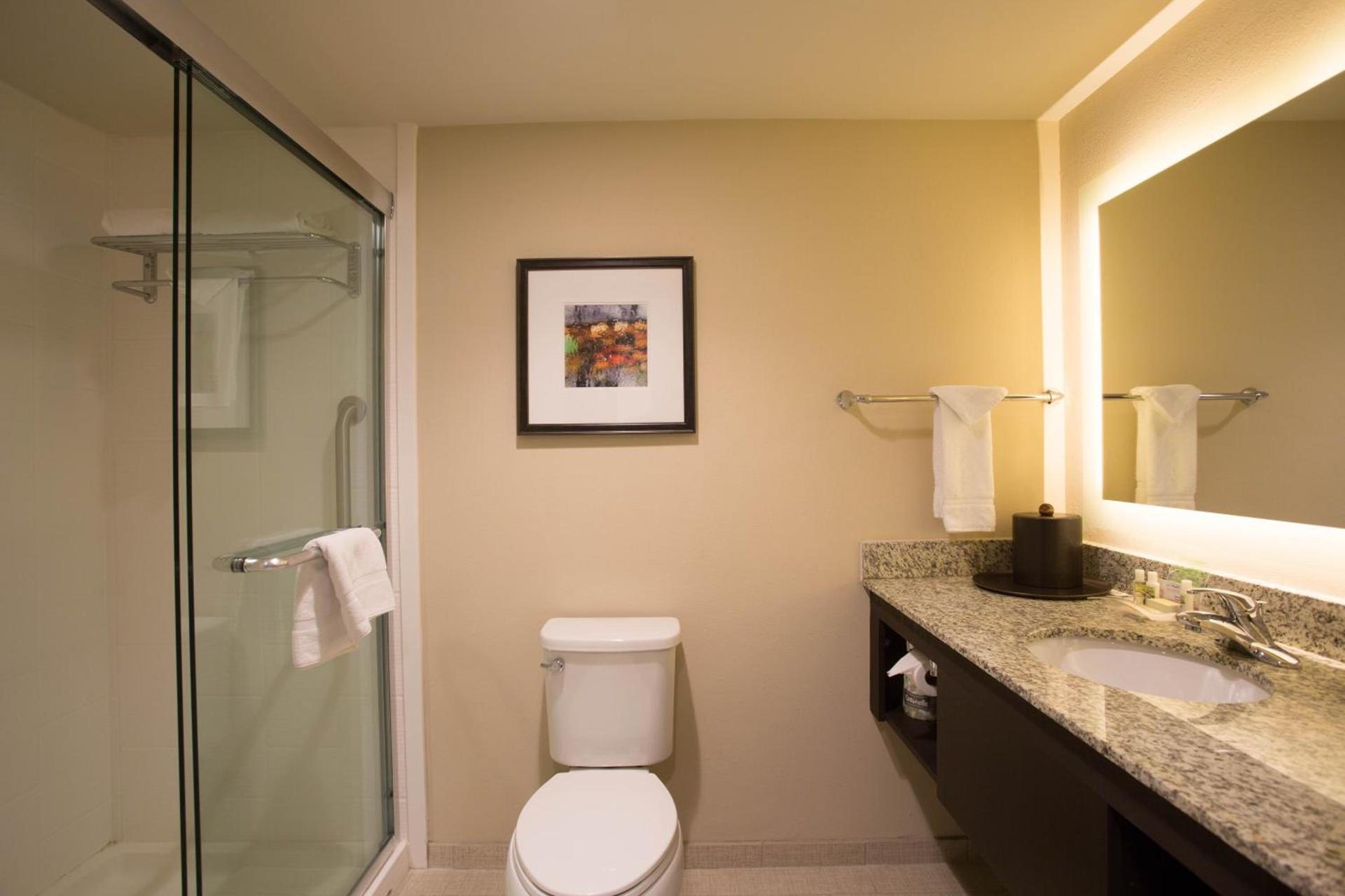 Holiday Inn Murfreesboro by IHG photo 3
