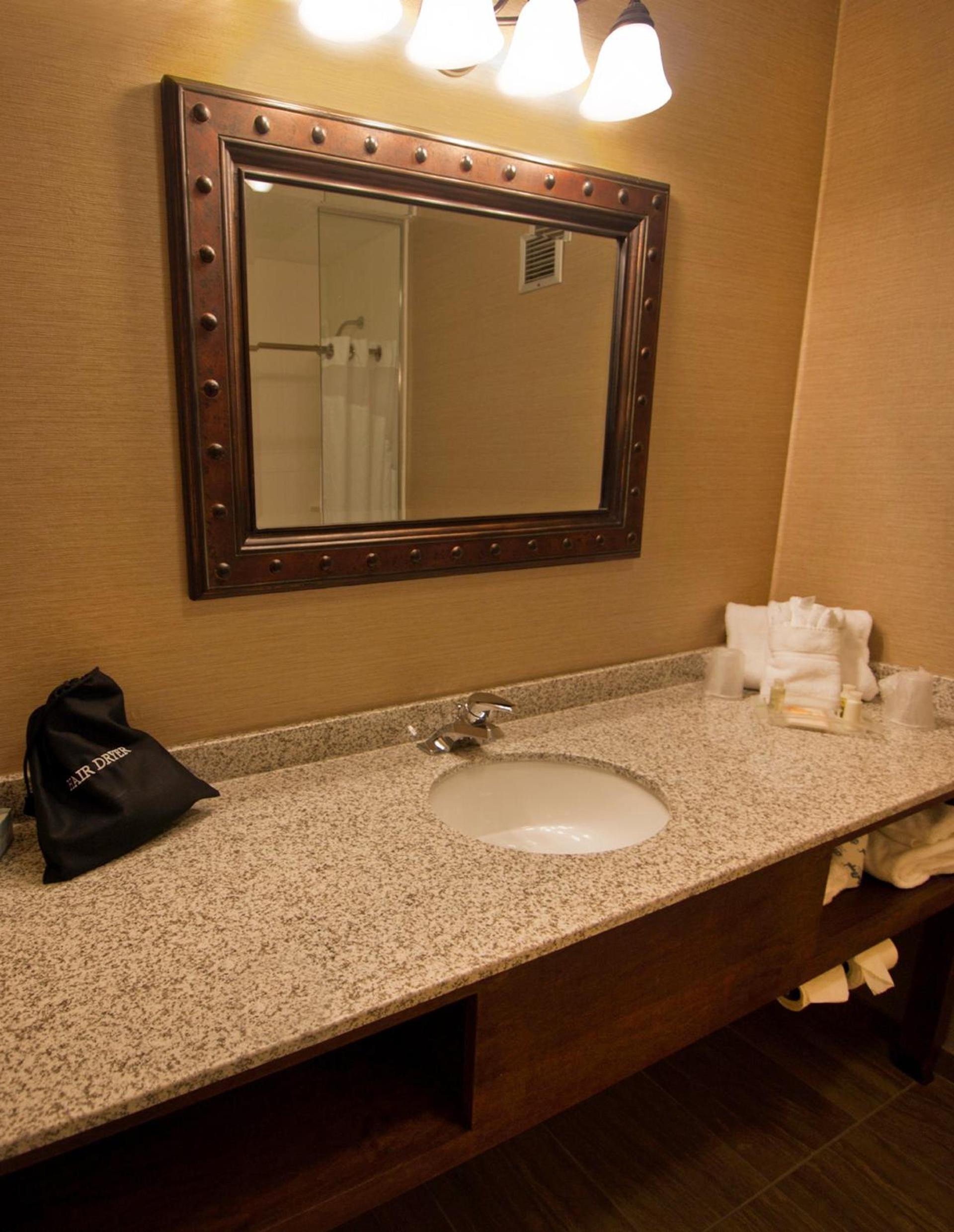 Buffalo Airport Hotel photo 13