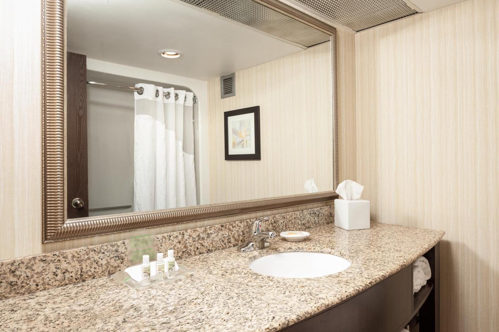 Holiday Inn Dubuque/Galena by IHG photo 26