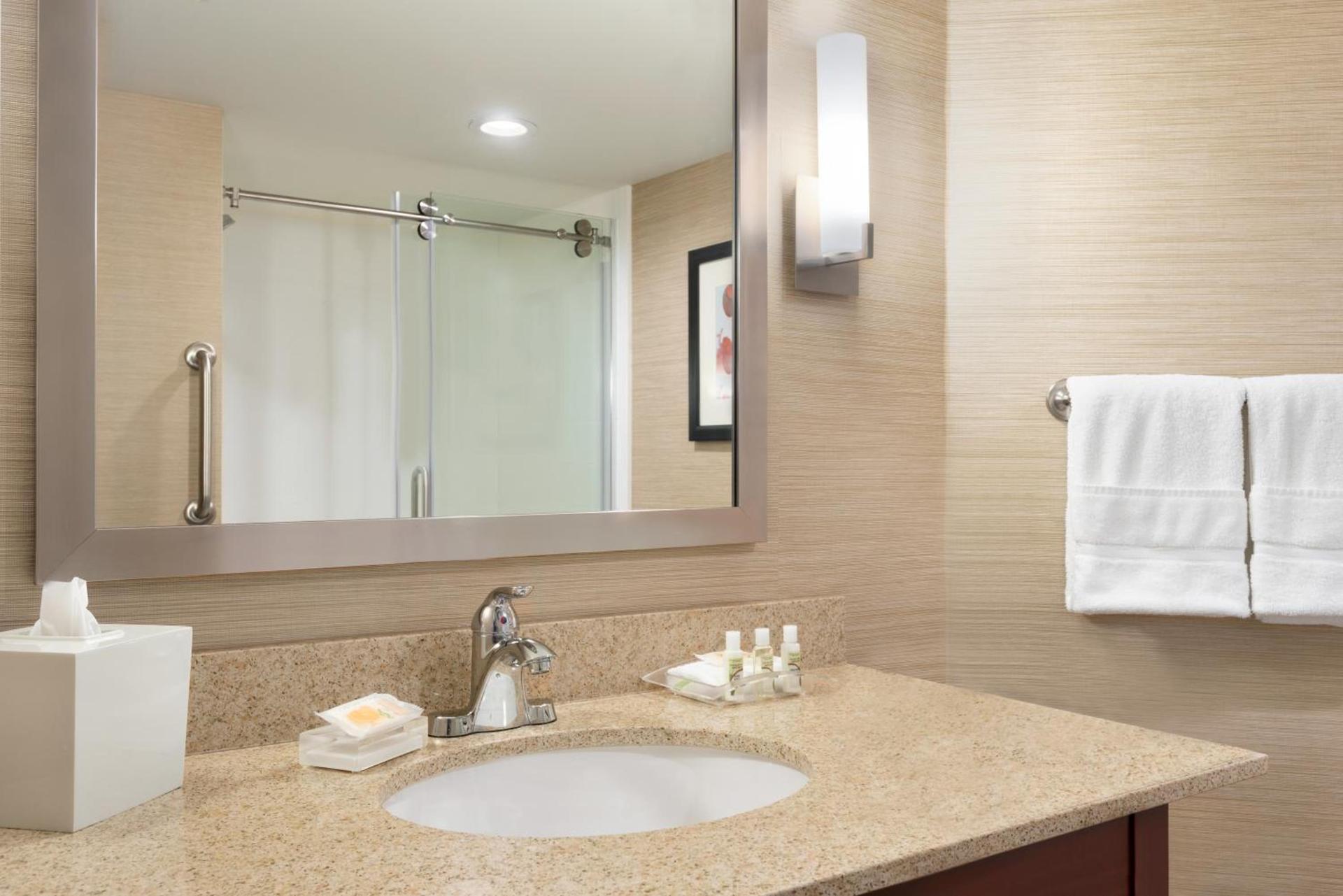 Holiday Inn Dubuque/Galena by IHG photo 21