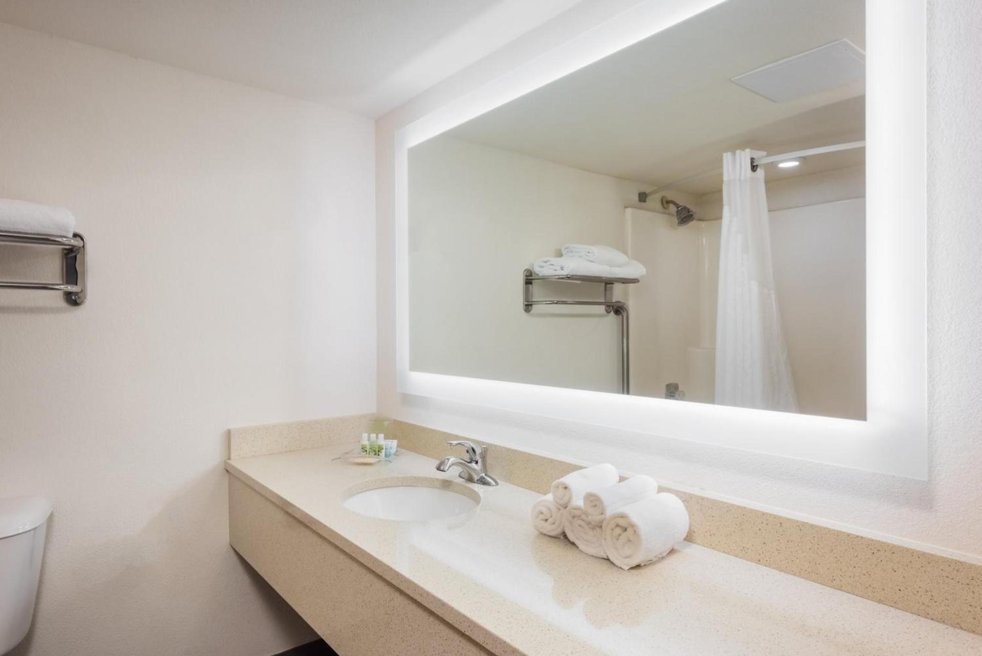Holiday Inn At Six Flags Saint Louis by IHG photo 26