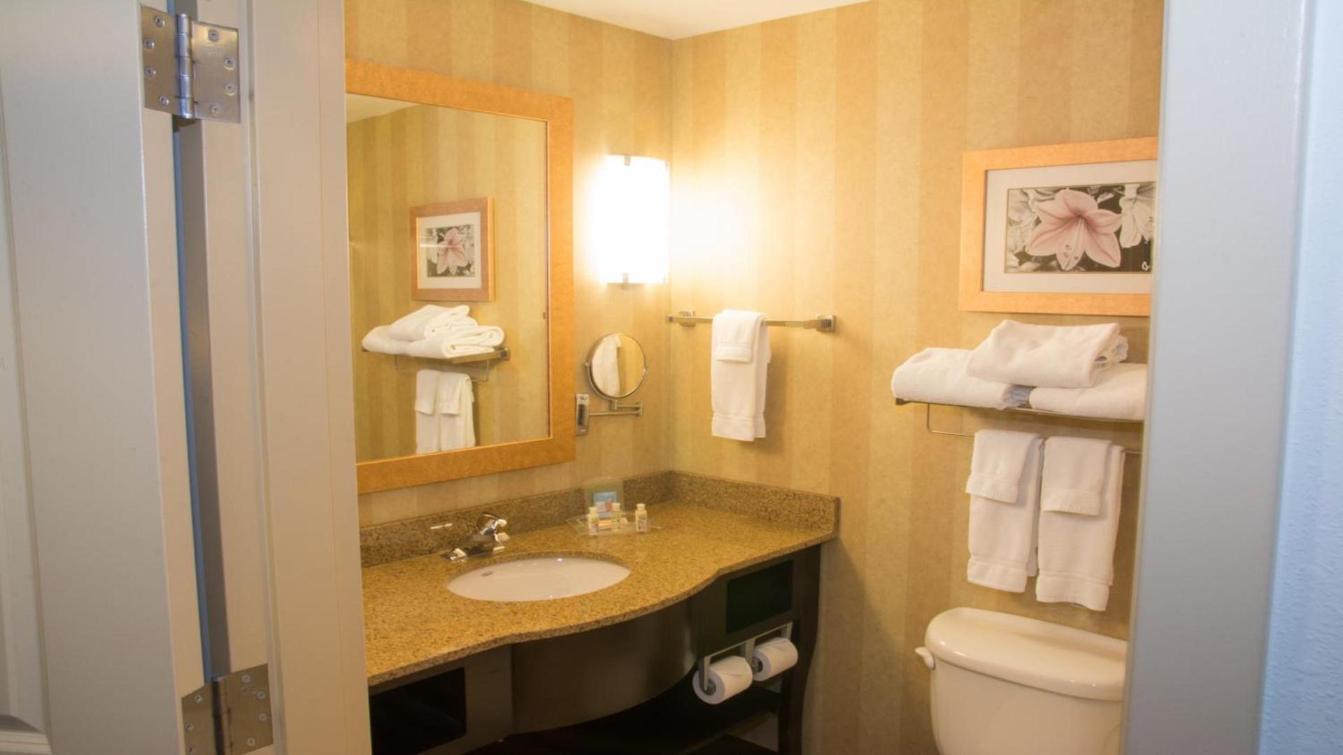 Holiday Inn Saint Louis-Fairview Heights by IHG photo 15