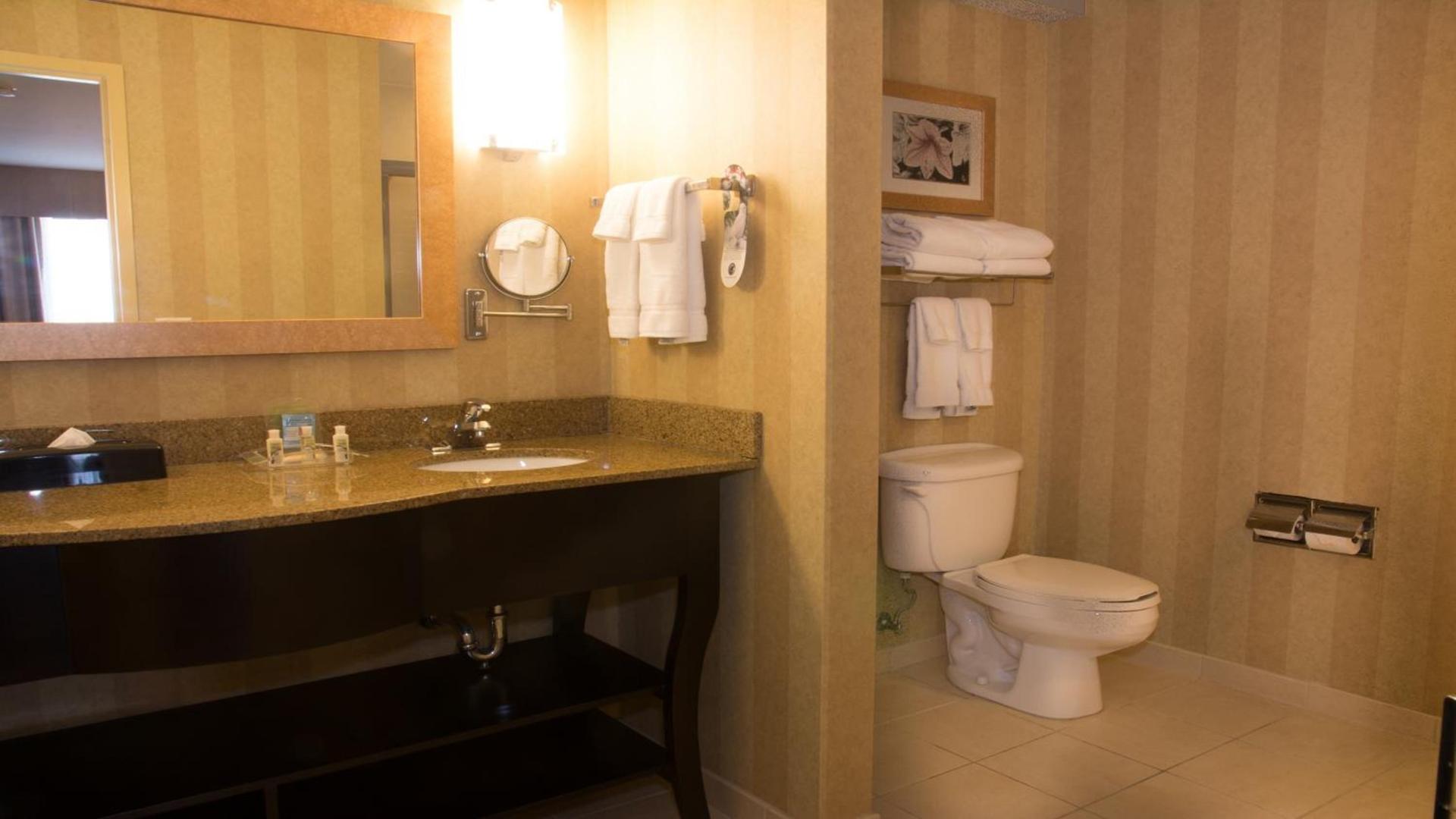 Holiday Inn Saint Louis-Fairview Heights by IHG photo 19