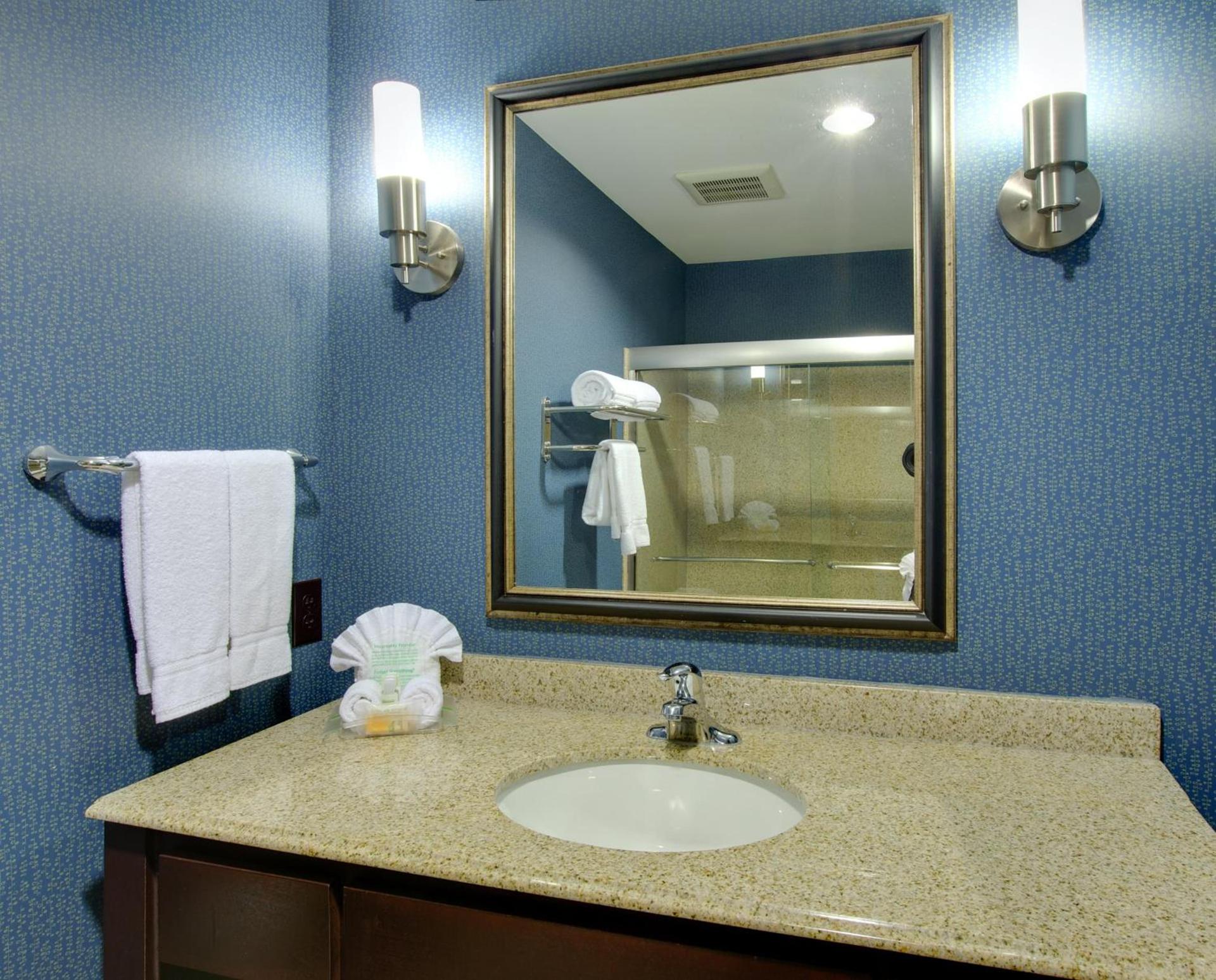 Holiday Inn Houston East-Channelview by IHG photo 19
