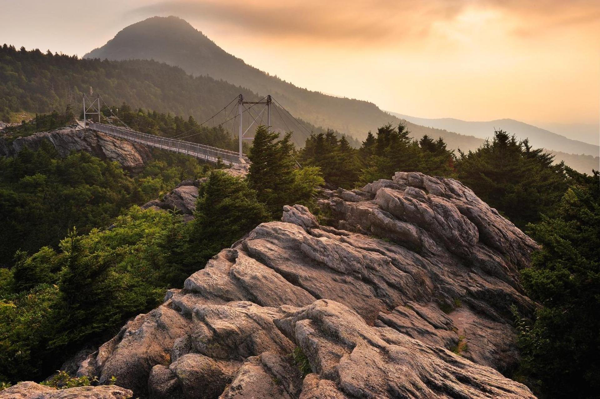 Holiday Inn - Boone - University Area by IHG photo 5