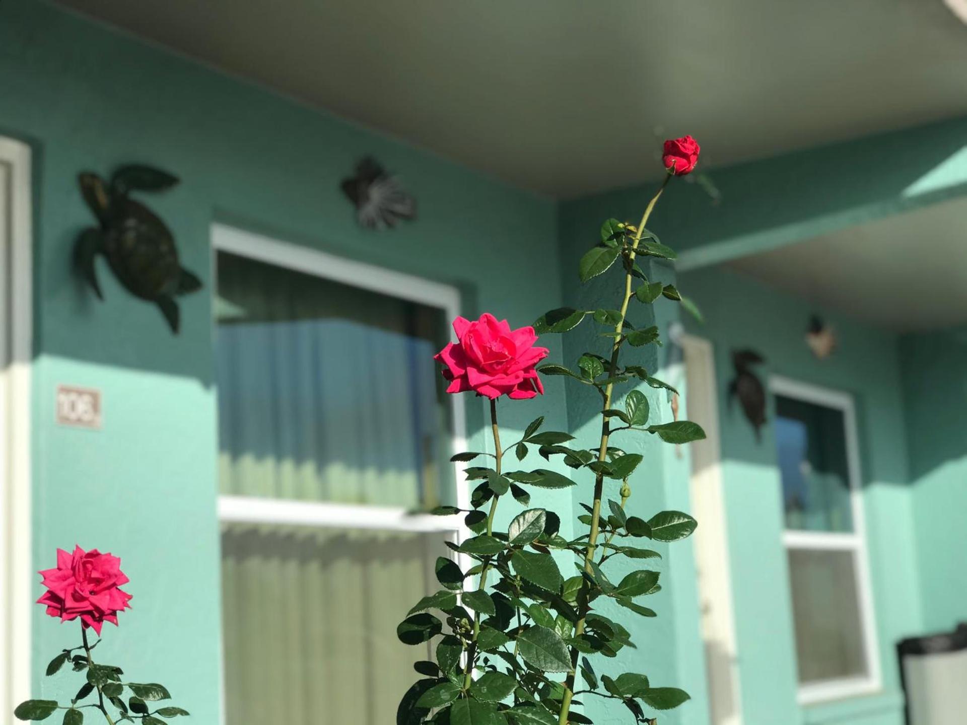 Immokalee Inn photo 17