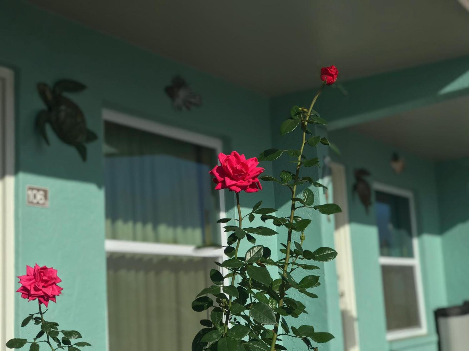 Immokalee Inn photo 38