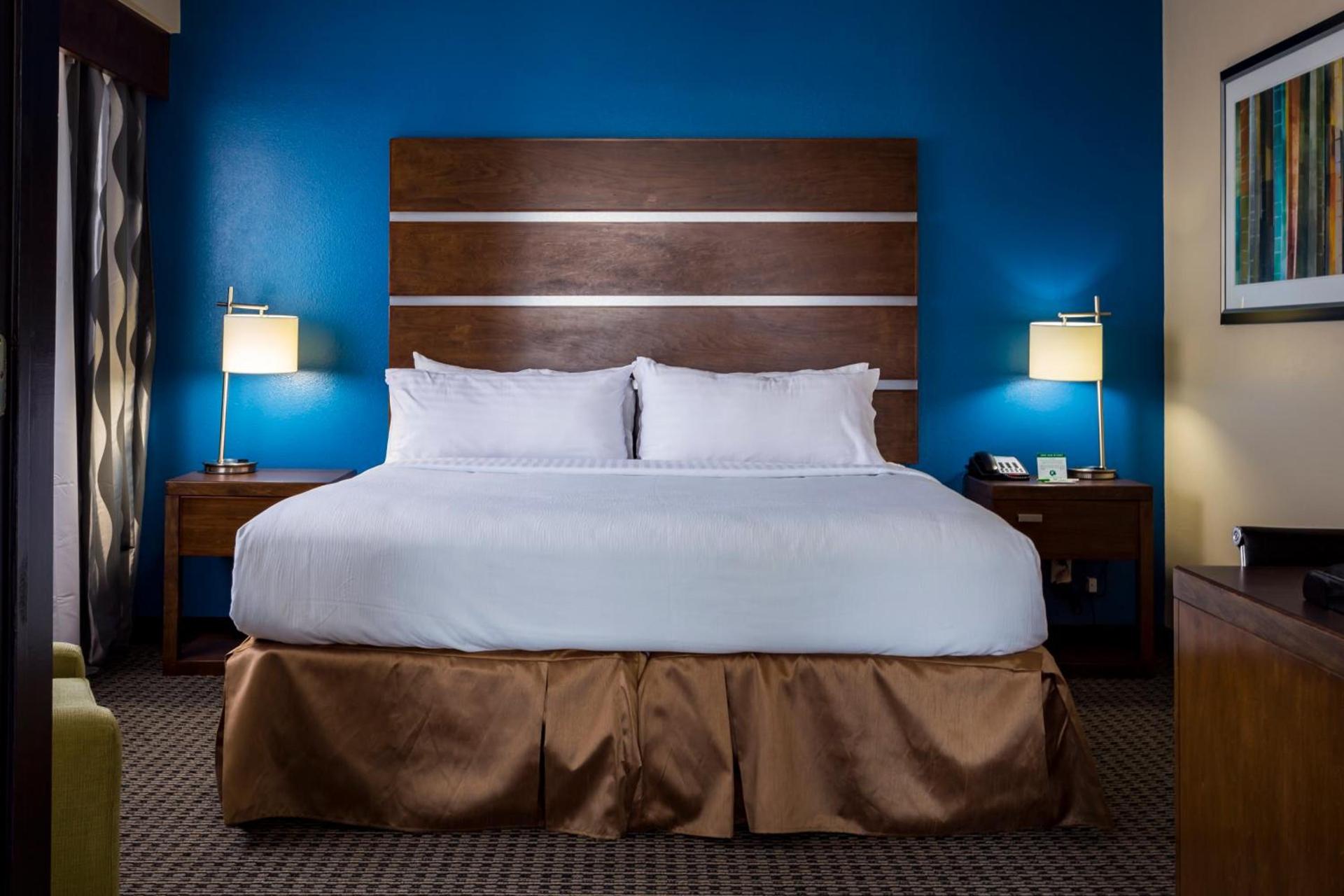 Holiday Inn Houston Downtown by IHG photo 22
