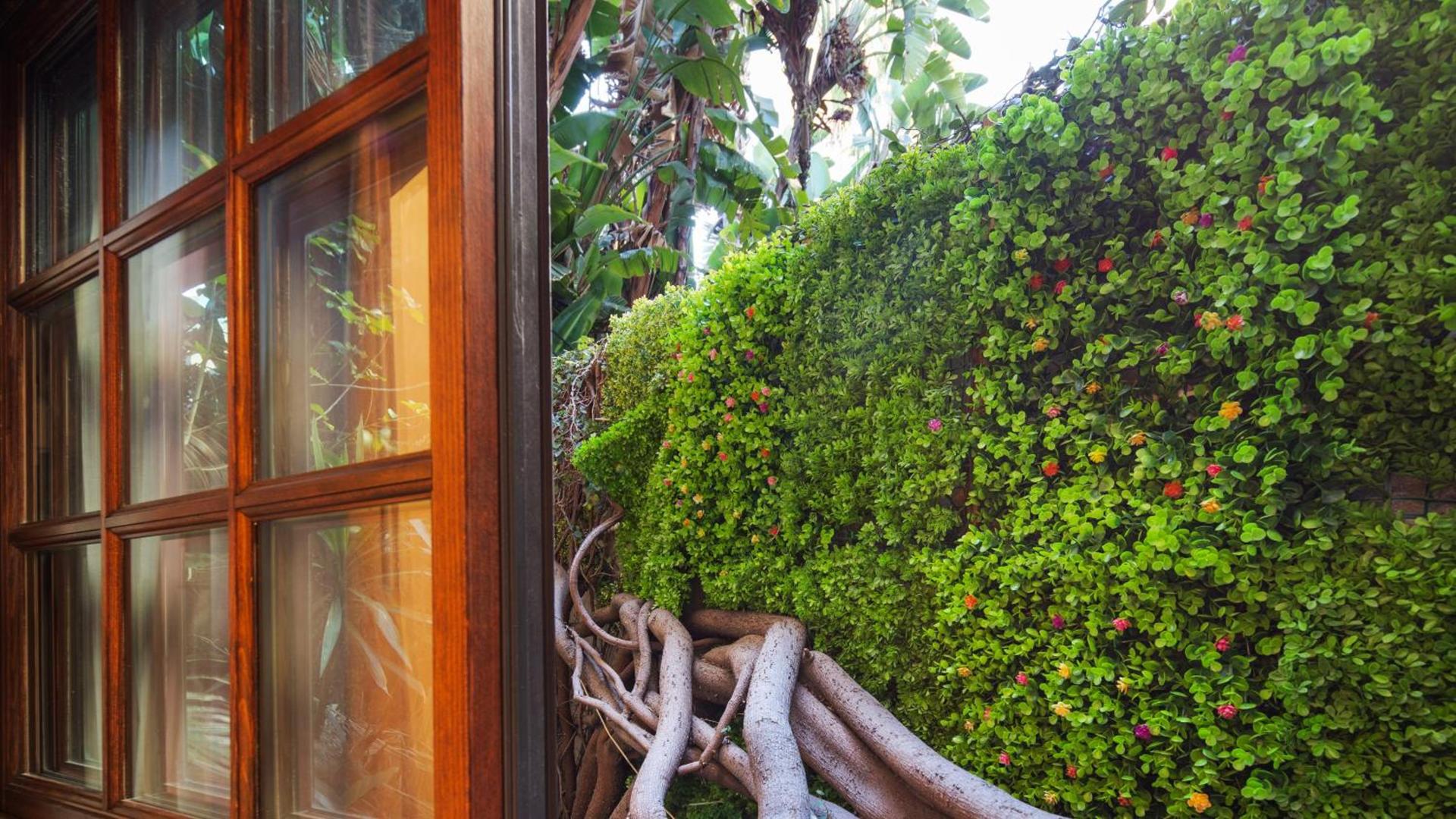 Best Western Plus Sunset Plaza Hotel photo 47