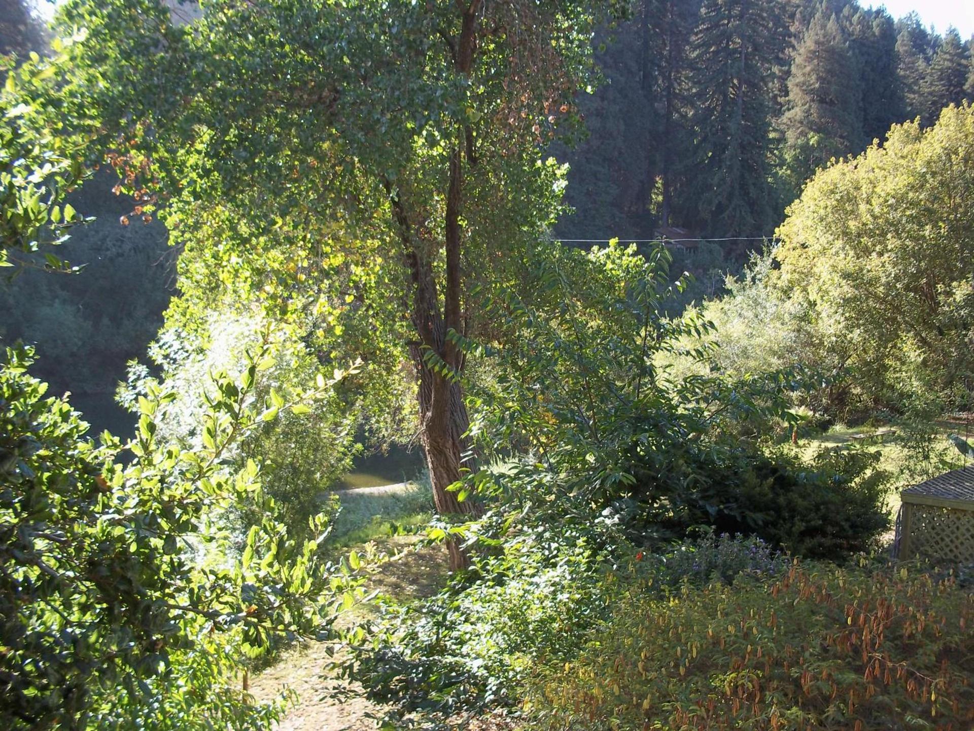 River View Garden Resort photo 33