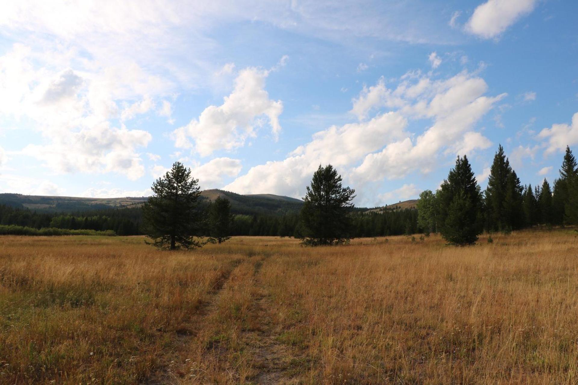 Sugar Loaf Lodge & Cabins photo 8