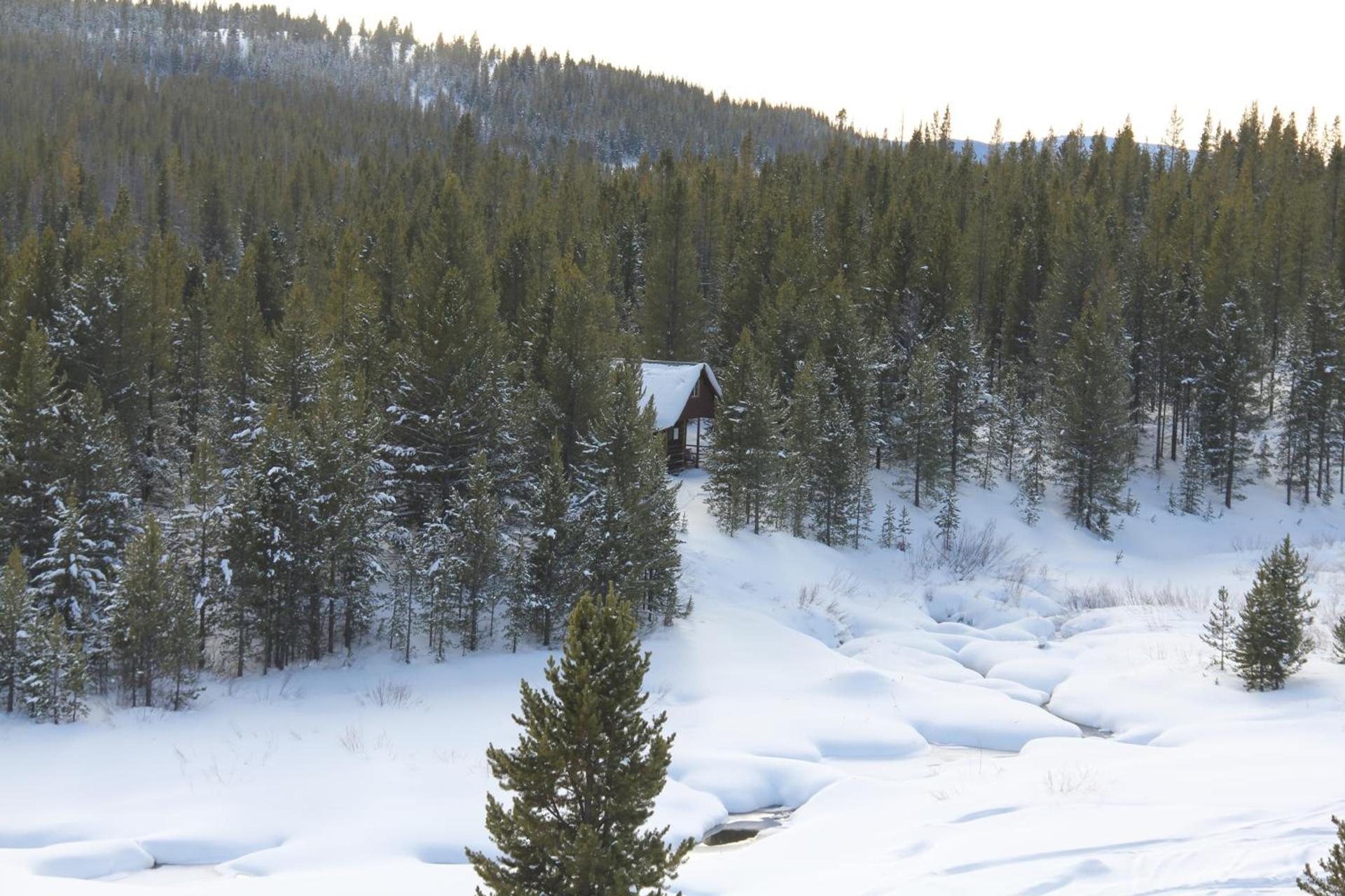 Sugar Loaf Lodge & Cabins photo 7