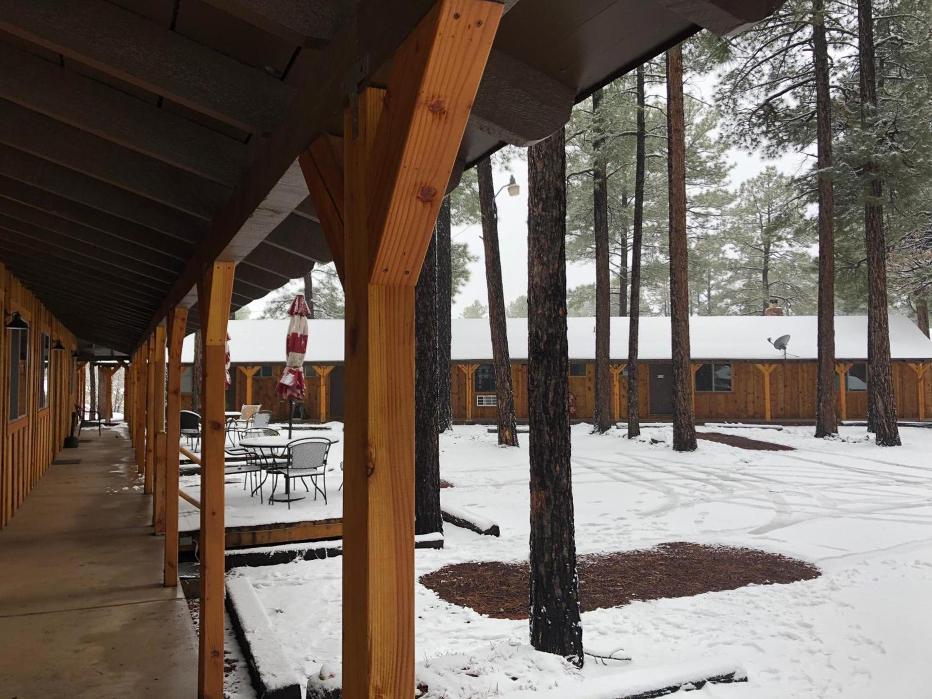 TimberLodge Inn photo 17