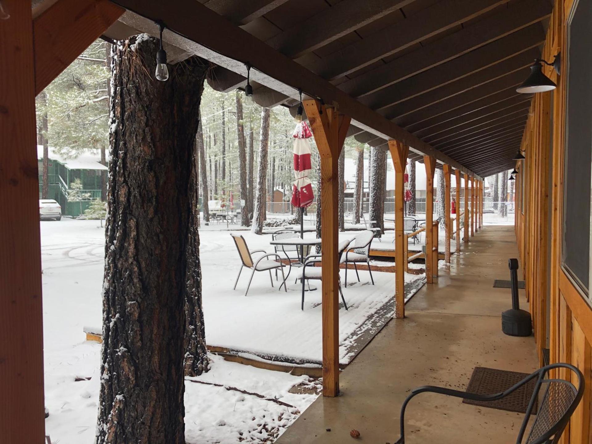 TimberLodge Inn photo 19