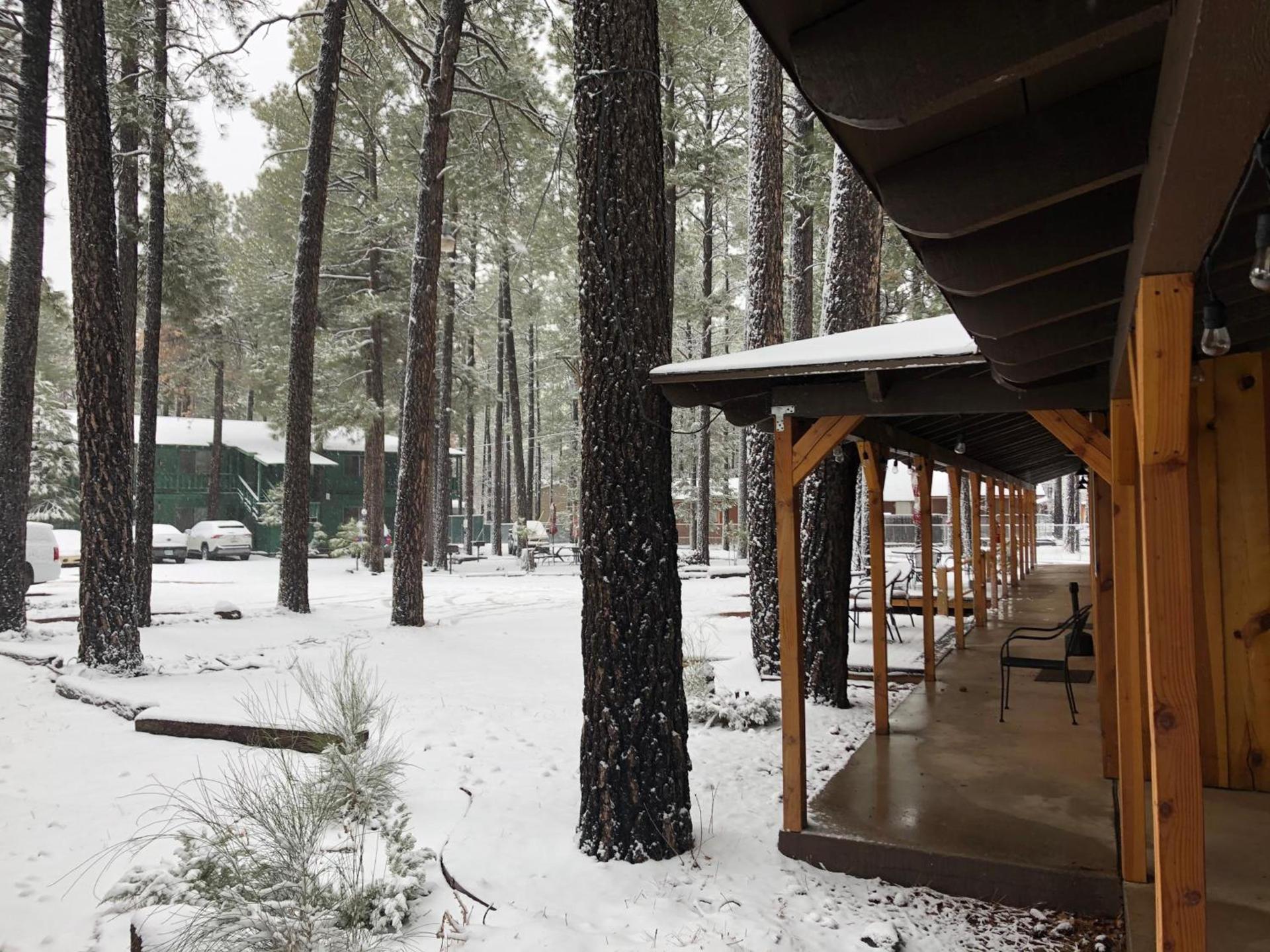 TimberLodge Inn photo 24