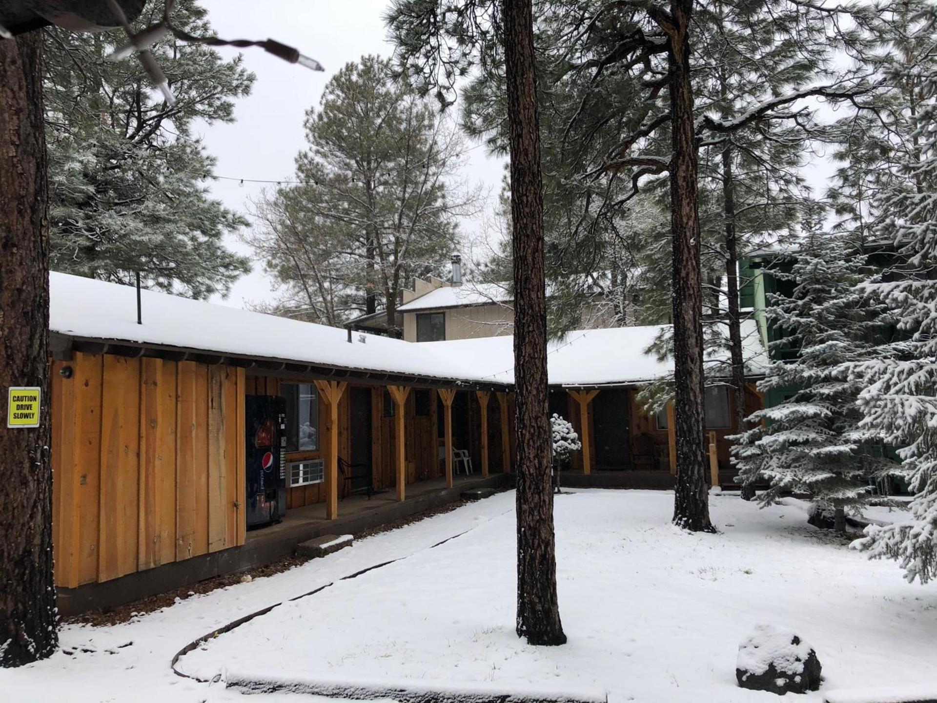 TimberLodge Inn photo 18