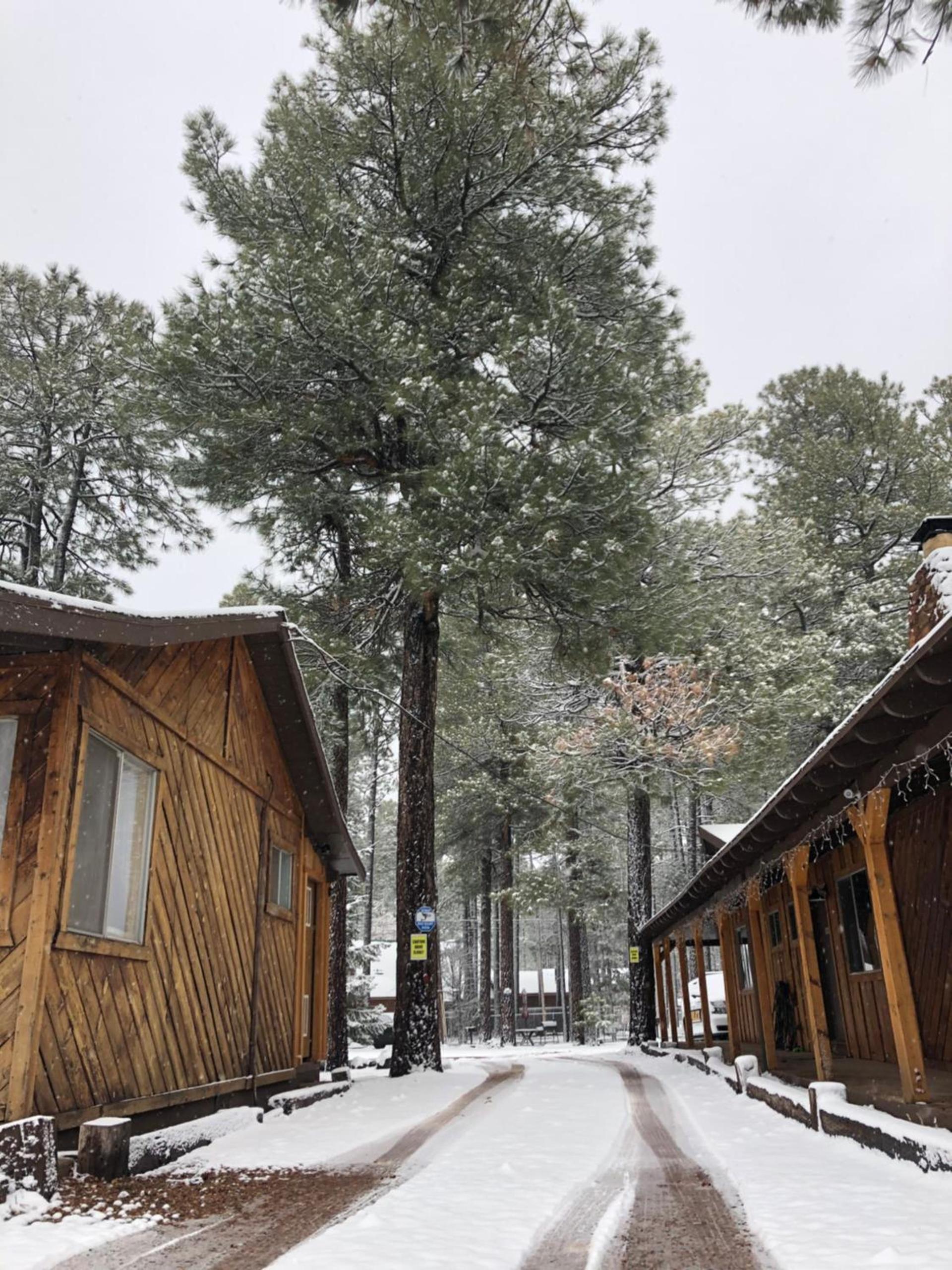 TimberLodge Inn photo 20