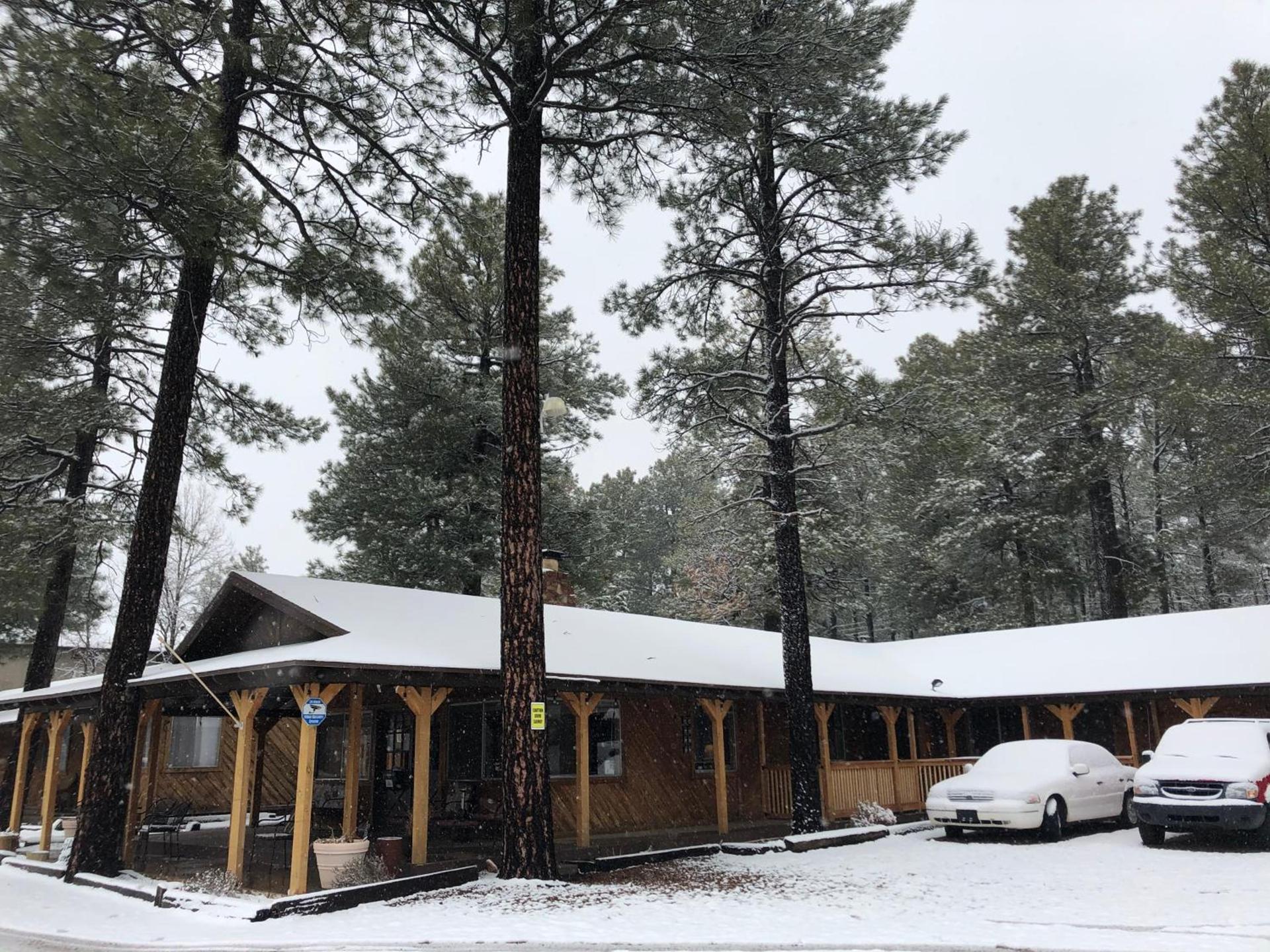 TimberLodge Inn photo 22