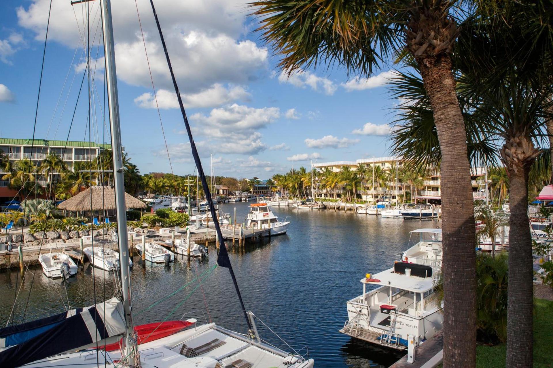 Holiday Inn Key Largo by IHG photo 34