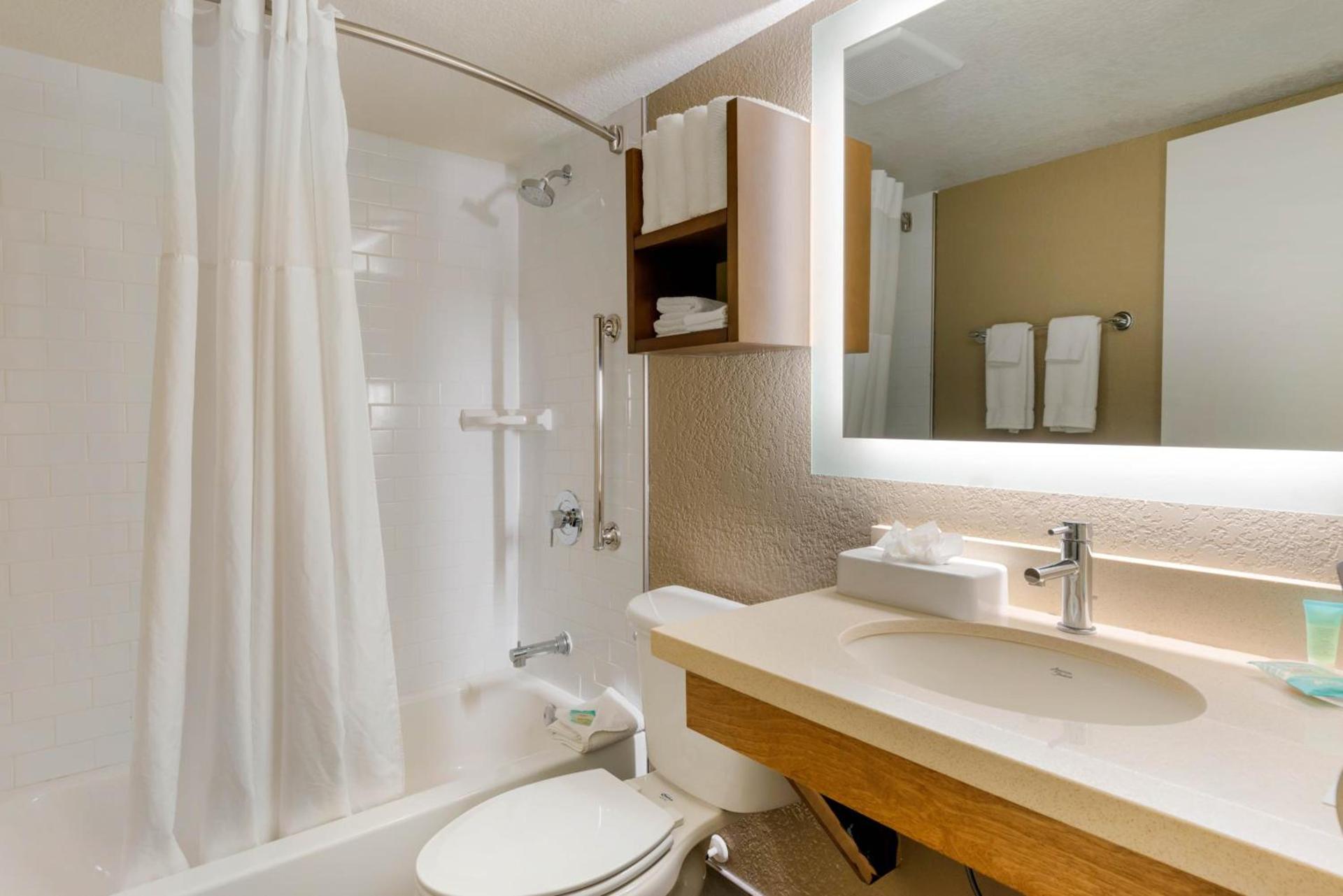 Staybridge Suites Orlando Royale Parc Suites by IHG photo 39