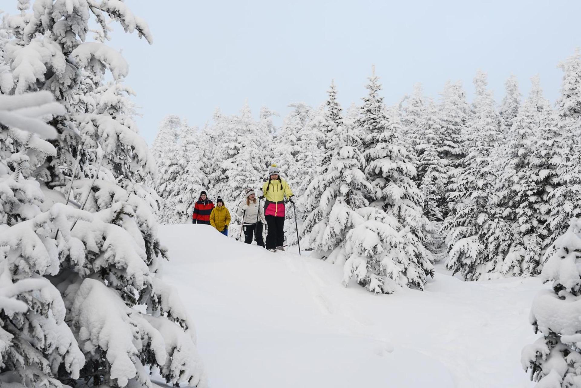 The Black Bear Lodge at Stratton Mountain Resort photo 28