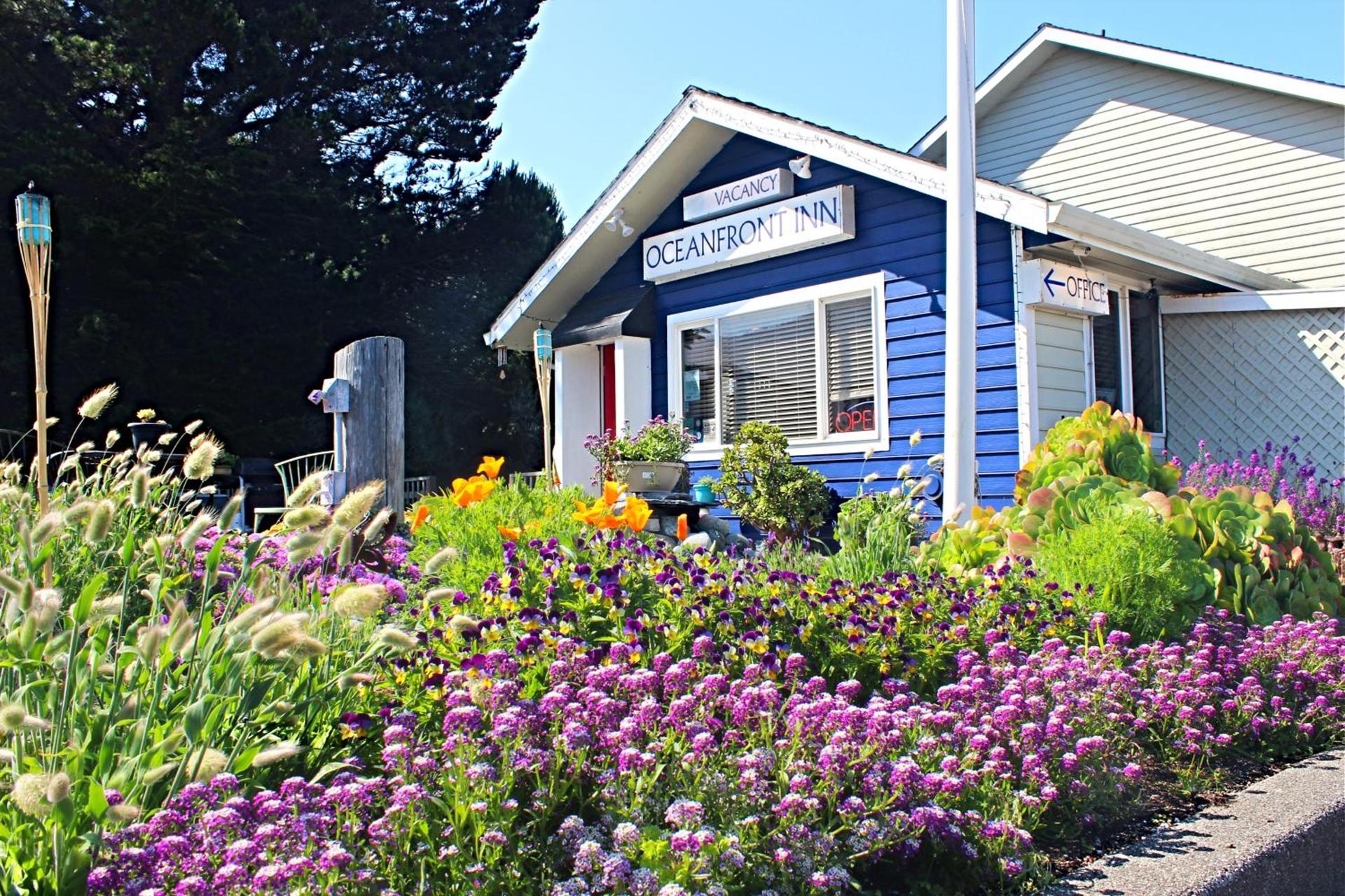 The Oceanfront Inn photo 27