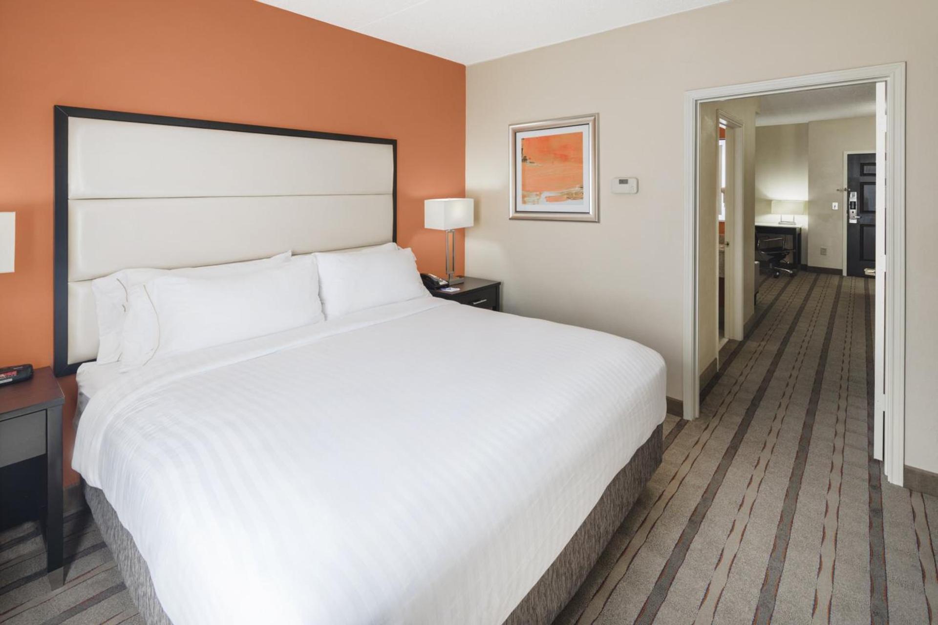 Holiday Inn Express & Suites Atlanta NE- Duluth by IHG photo 34