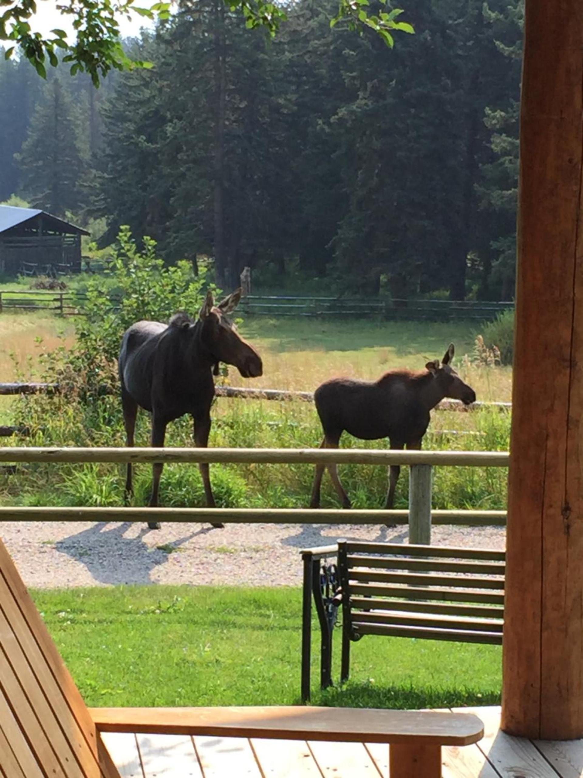 Trail Creek Ranch photo 4