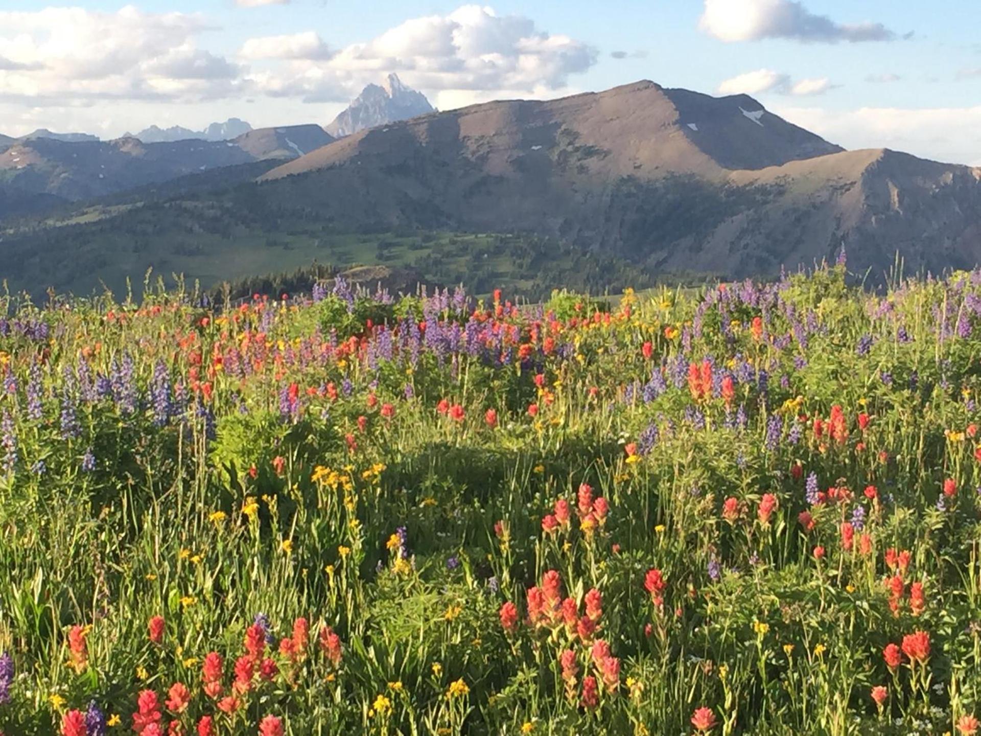 Trail Creek Ranch photo 5