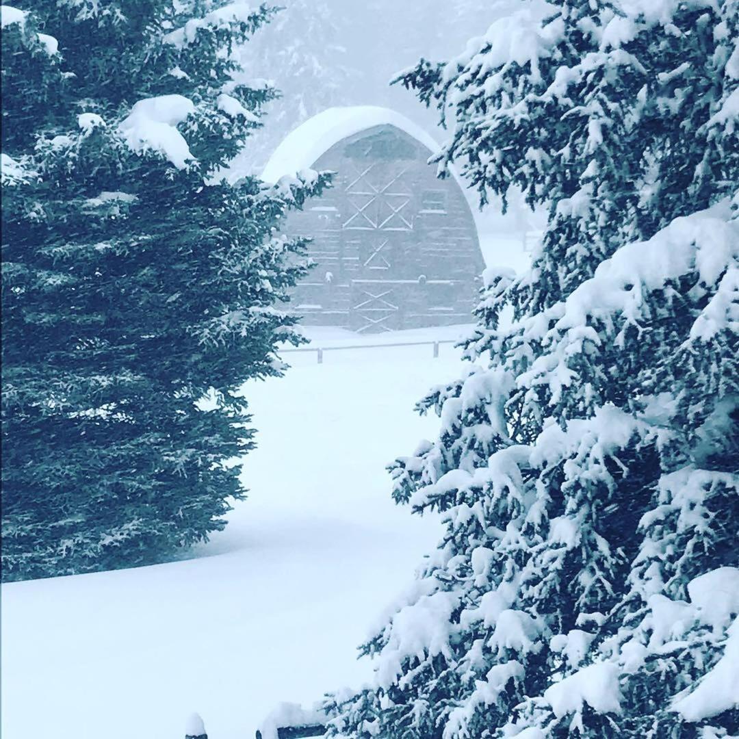 Trail Creek Ranch photo 6