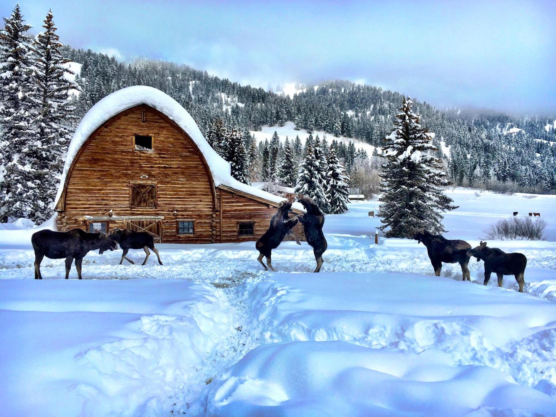 Trail Creek Ranch photo 7