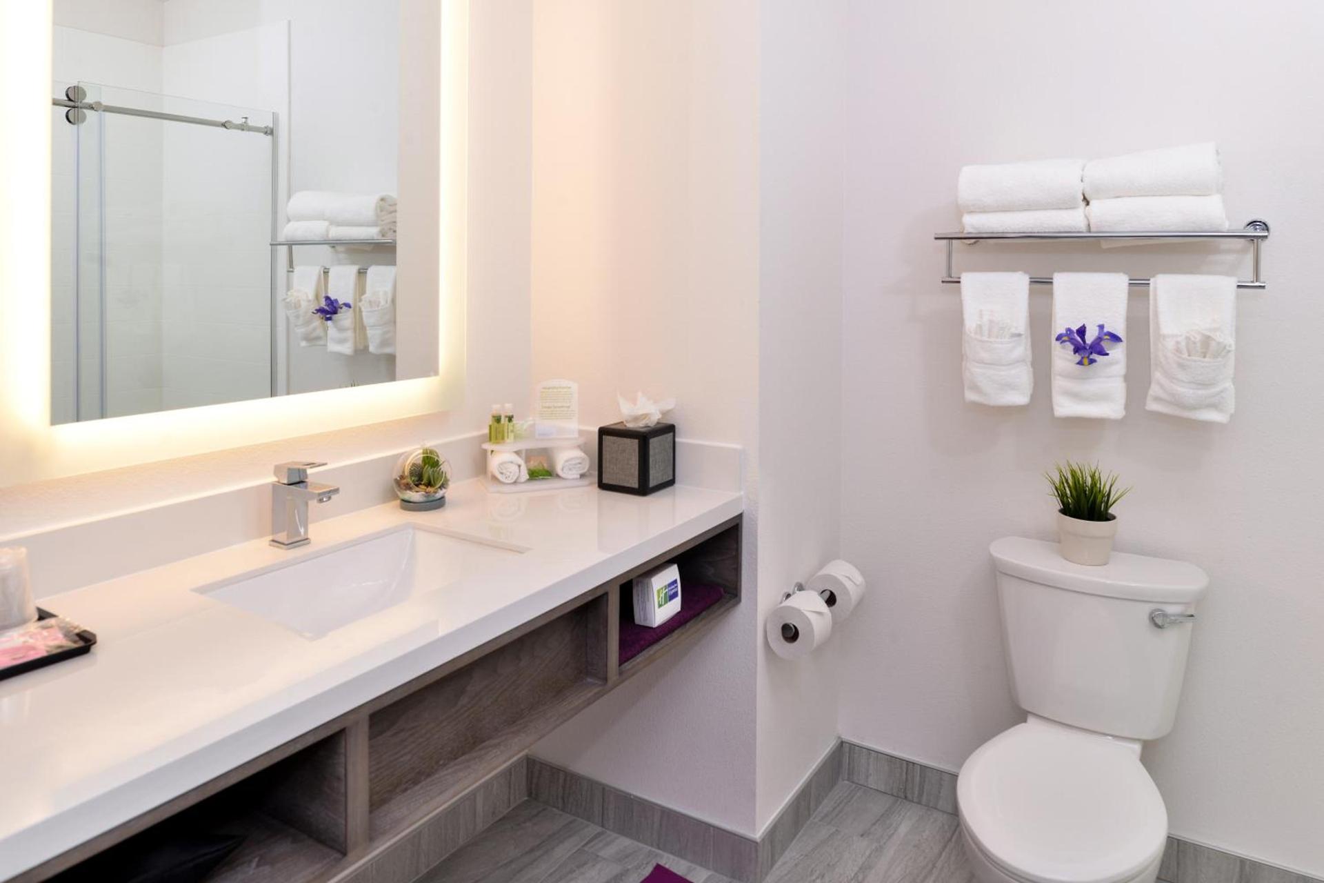 Holiday Inn Express & Suites San Diego - Mission Valley by IHG photo 17