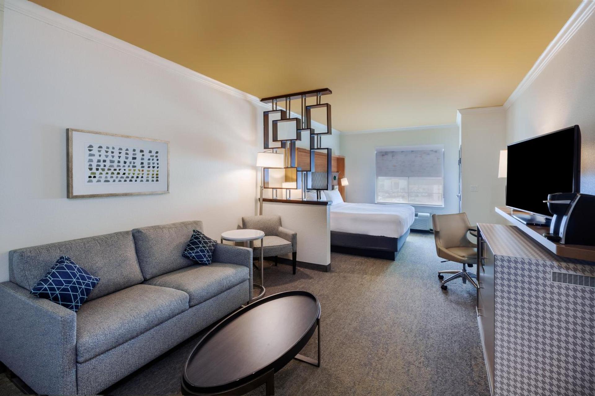 Holiday Inn & Suites McKinney - N Allen by IHG photo 18