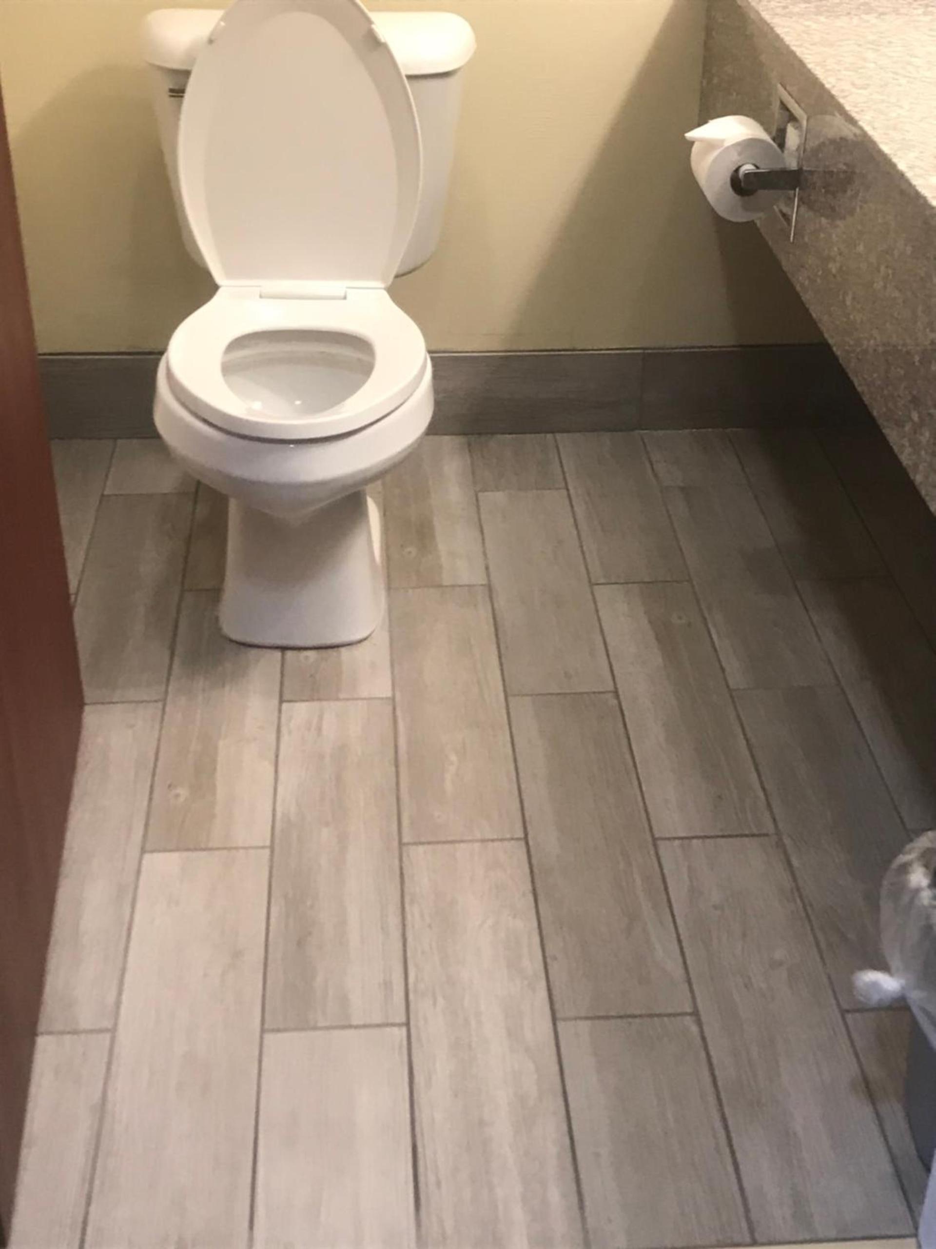 Quality Suites photo 33