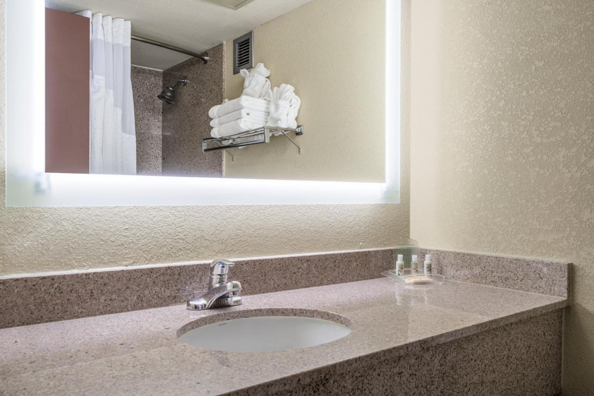 Holiday Inn Morgantown - Reading Area by IHG photo 26