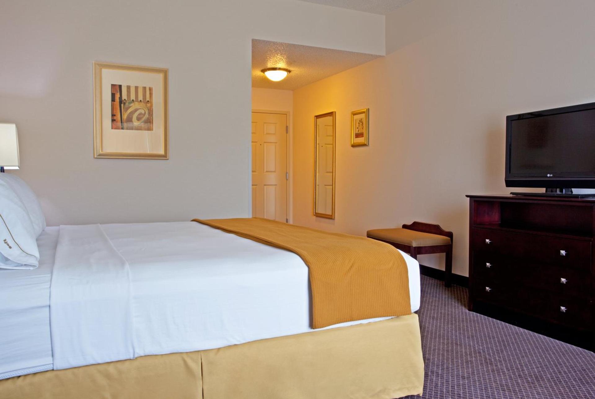 Holiday Inn Express & Suites Chicago West-O'Hare Arpt Area by IHG photo 25